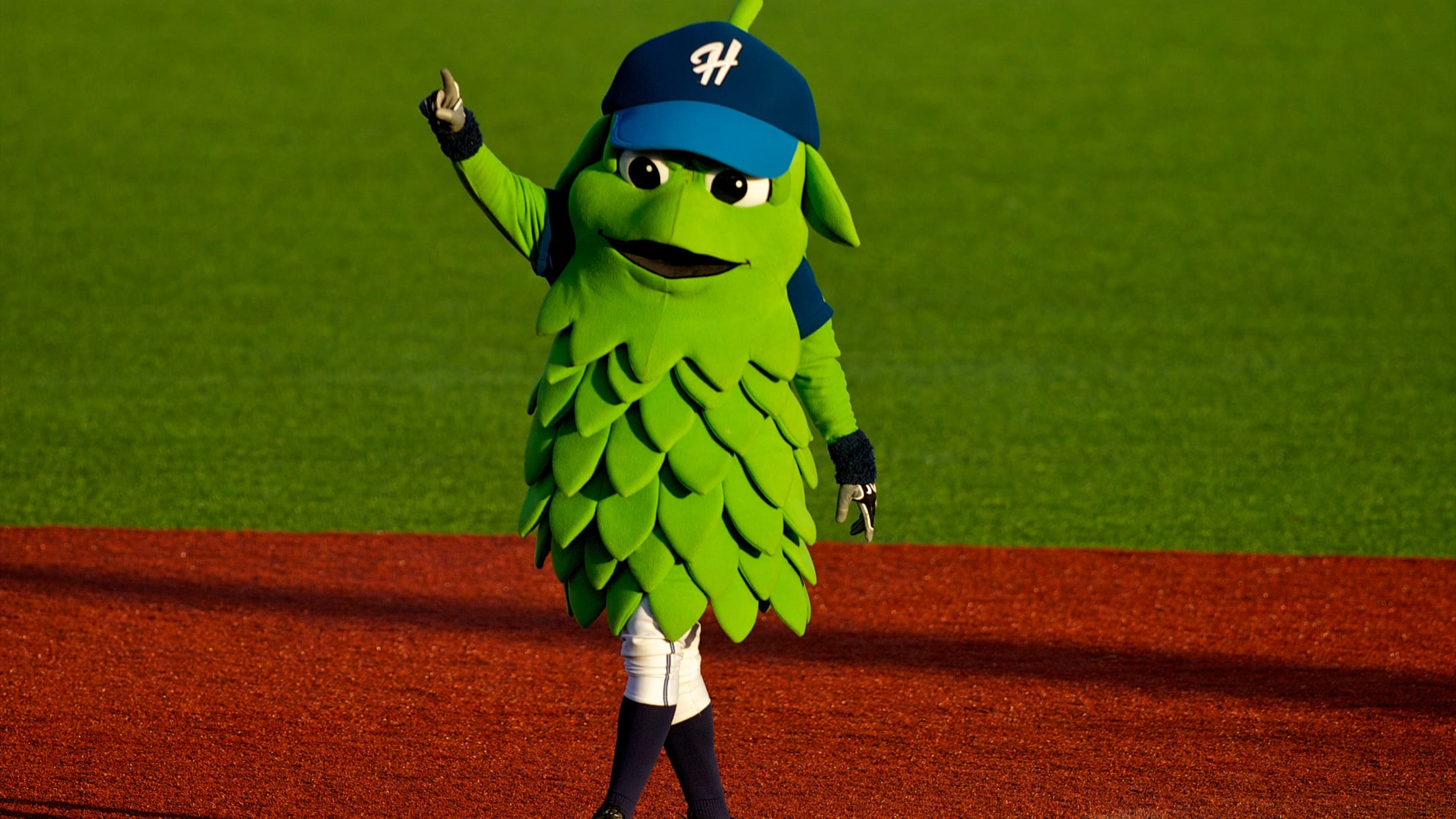 Hillsboro Hops Barley The Hop