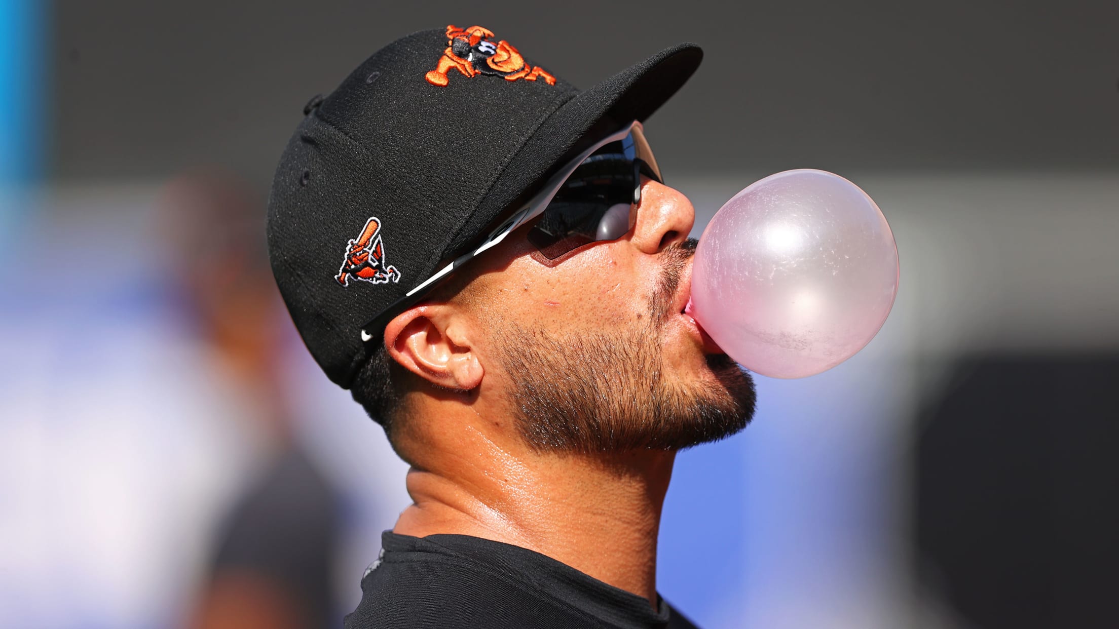 bal-homestand-recap-0906-0916-048