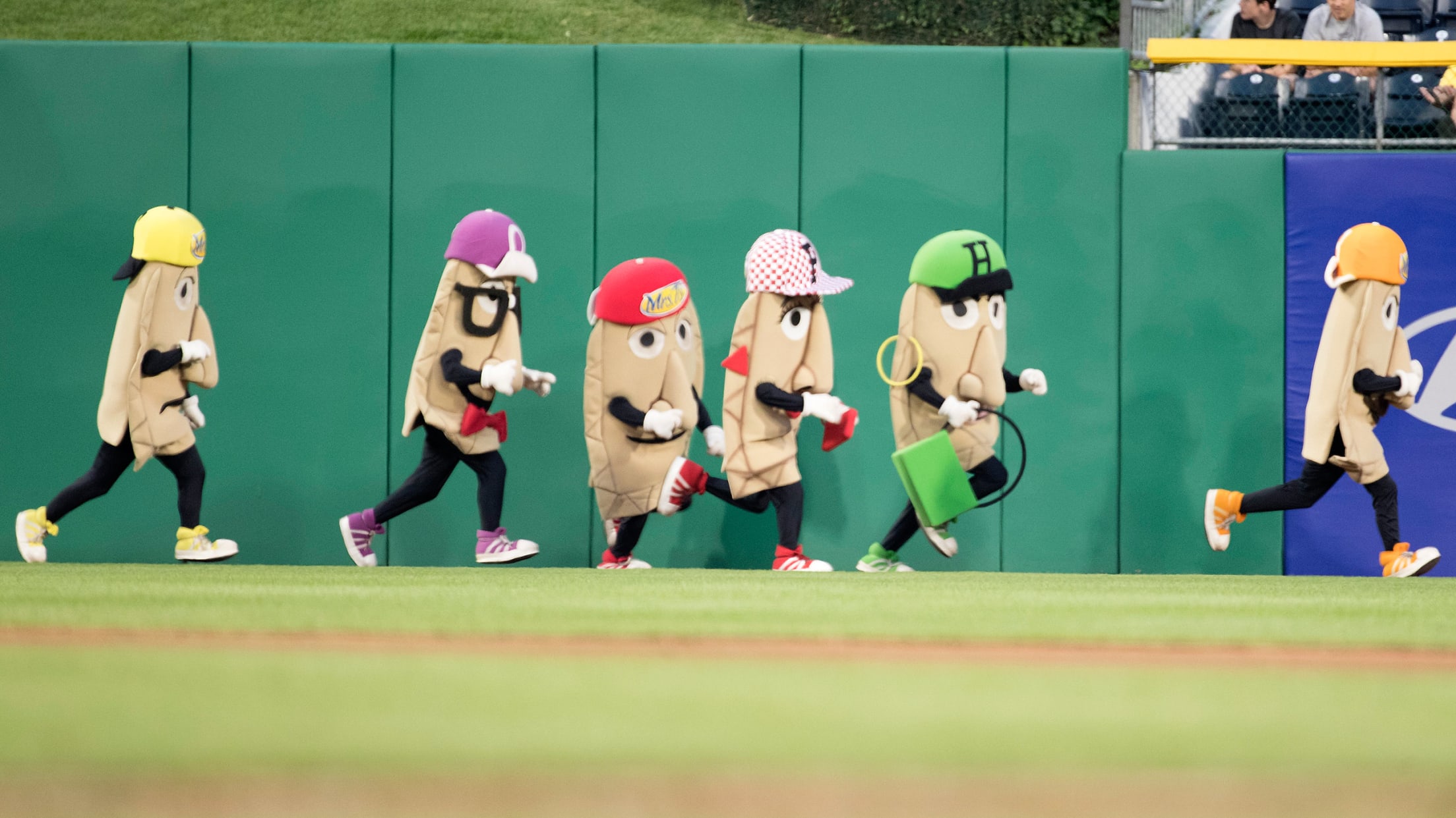 PNC News on X: We're celebrating #NationalPierogiDay in our HQ city of  Pittsburgh with the @Pirates Pierogies! Did you know Bacon Burt won the  most Great Pierogi Races last season? Cheese Chester