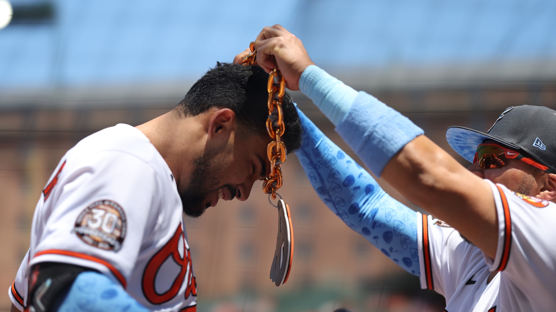 Homestand in Focus  617 - 622-023