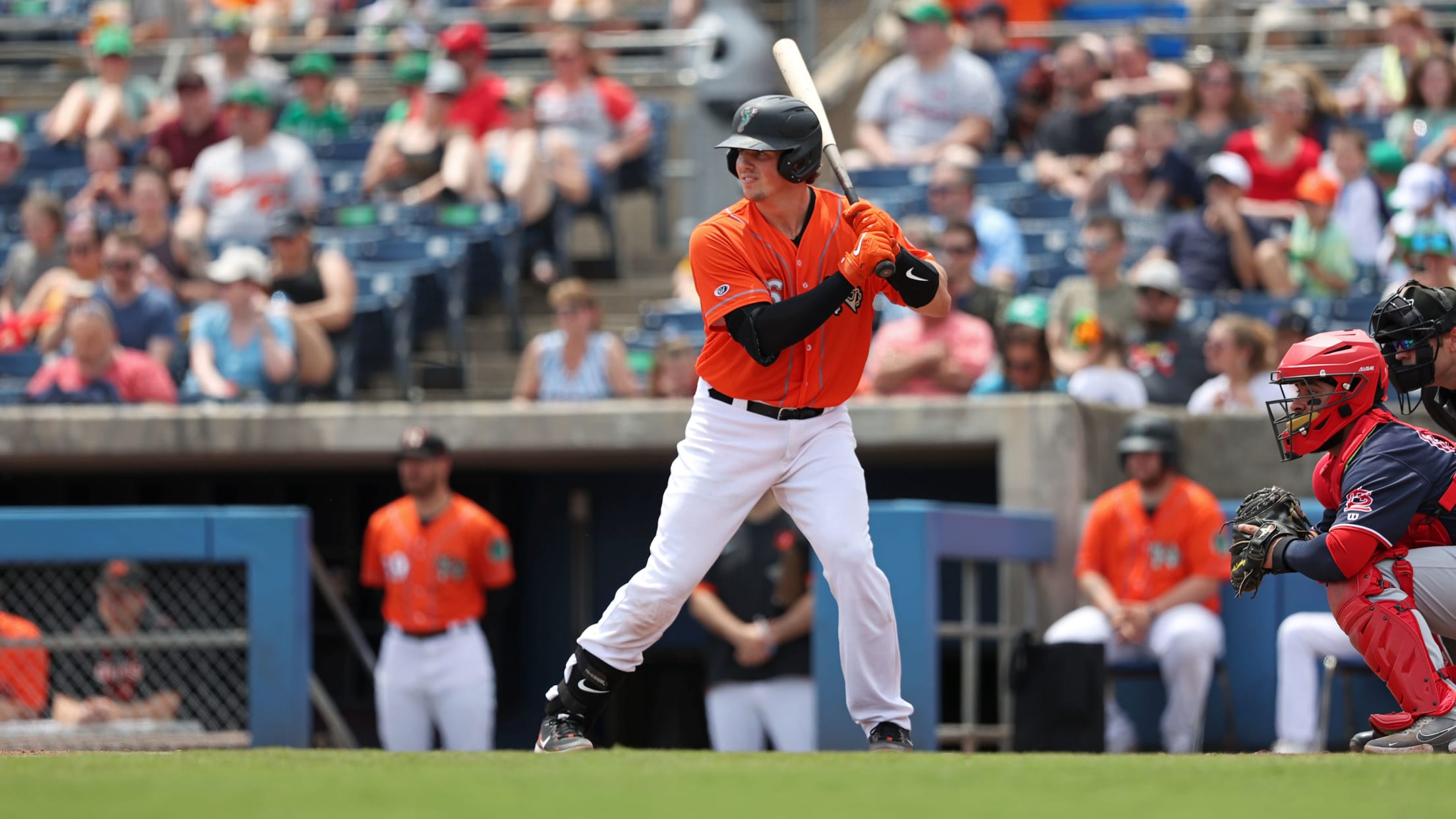 Rutschman-road-to-show-052