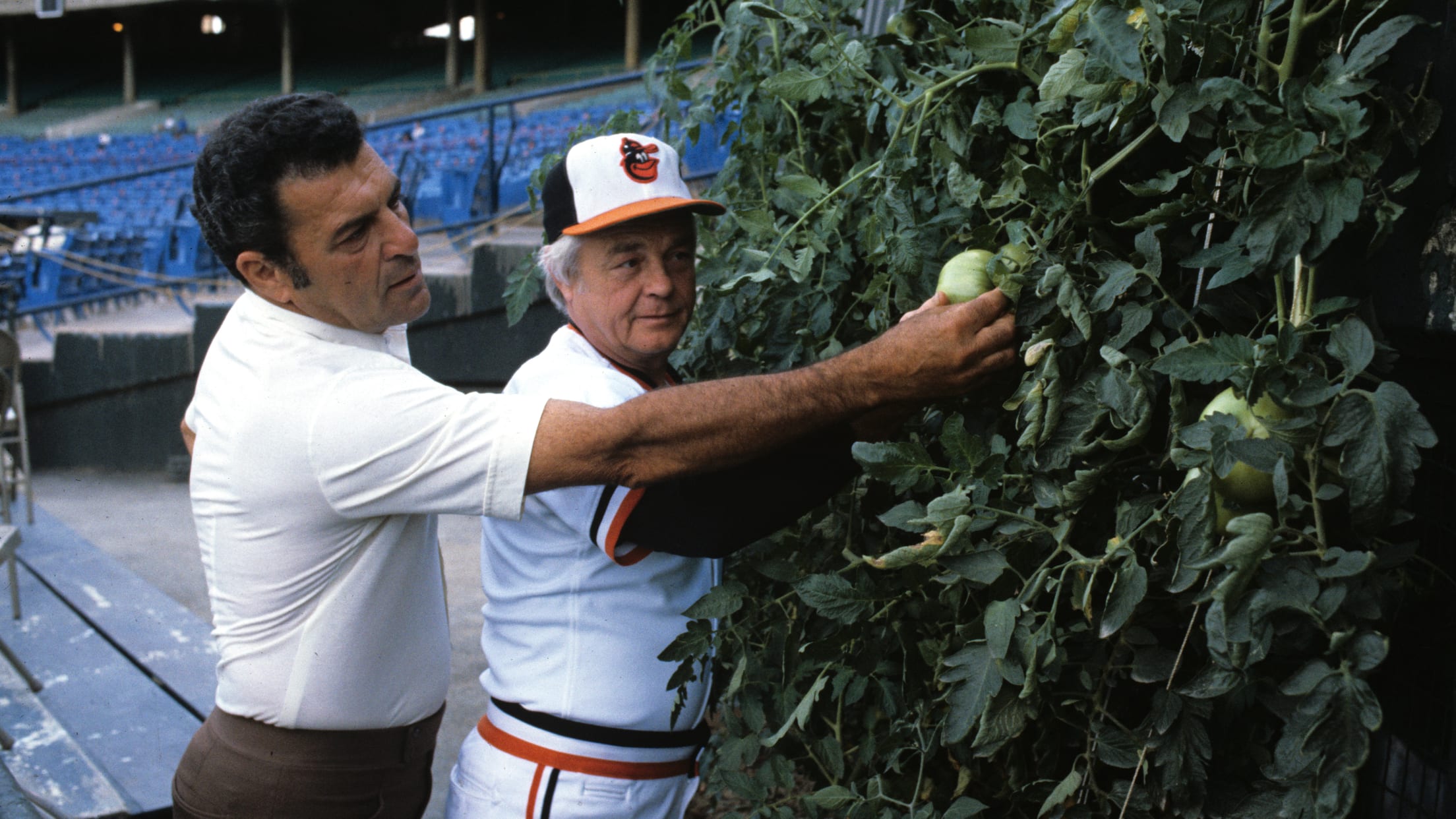 The Genius of Earl Weaver