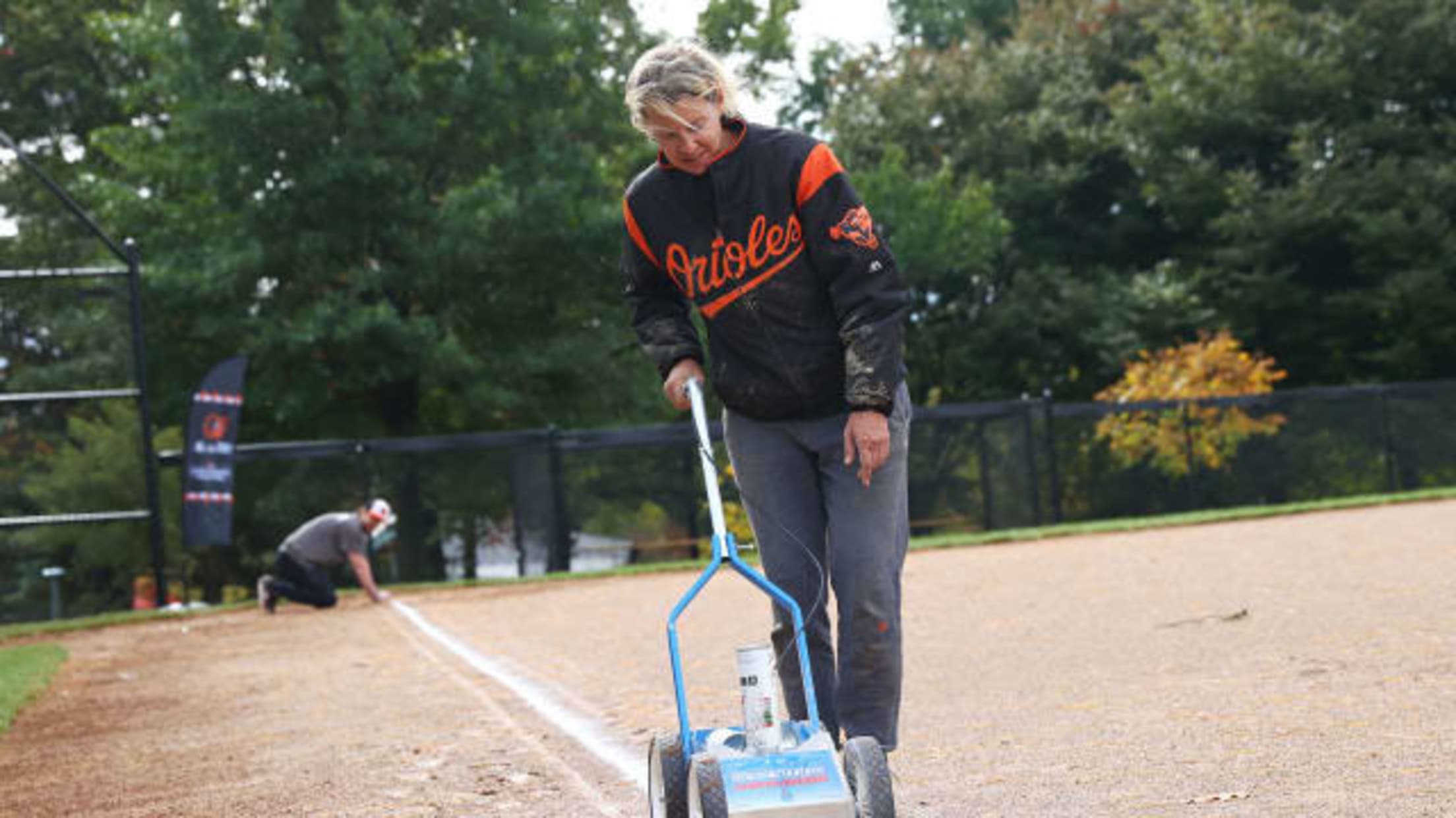 Field Revitalization 2