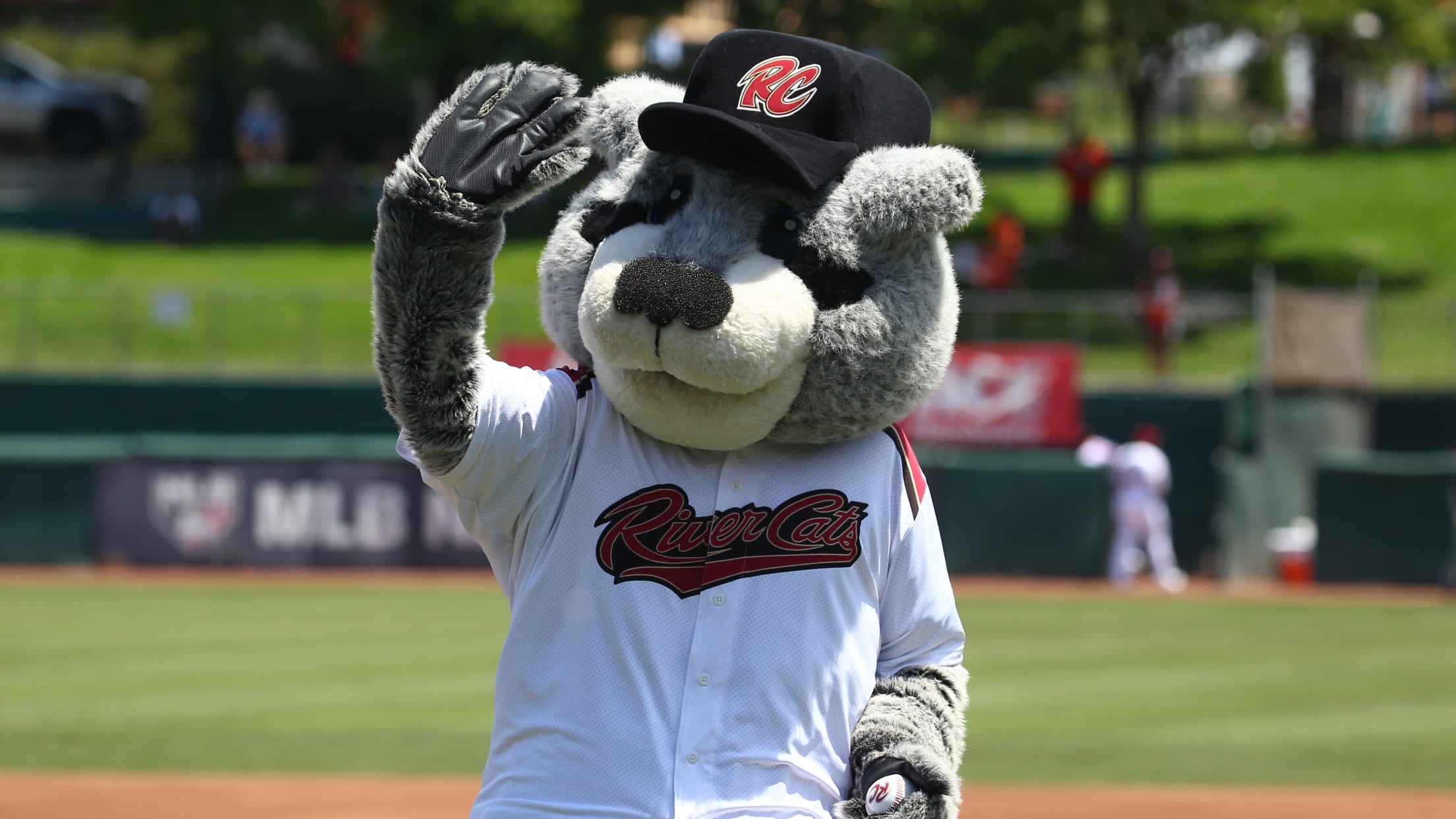 Our Hometown Tourists Go to a Sacramento River Cats Game