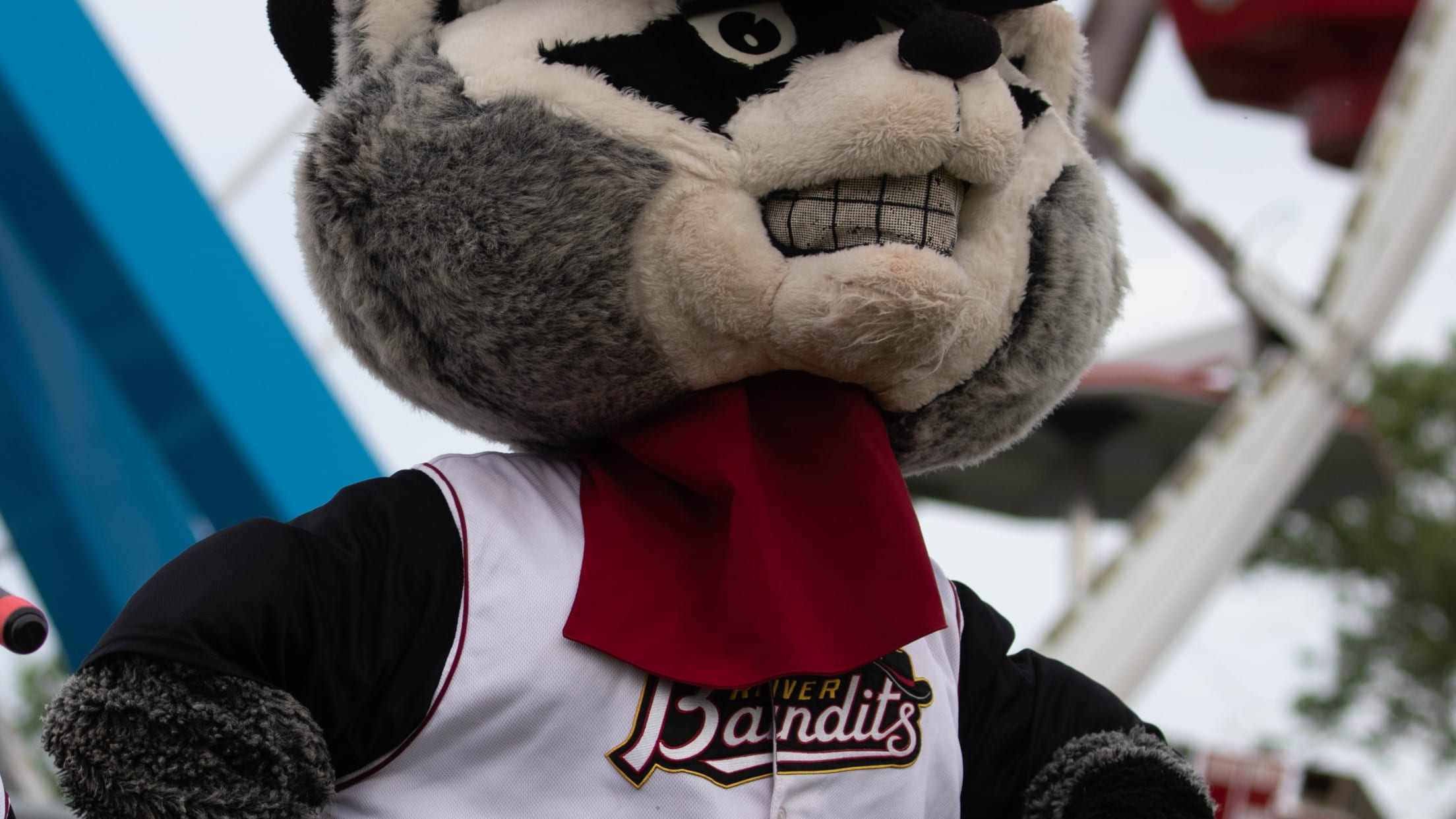 Quad Cities River Bandits Masco Rascal bobblehead – Bobhead