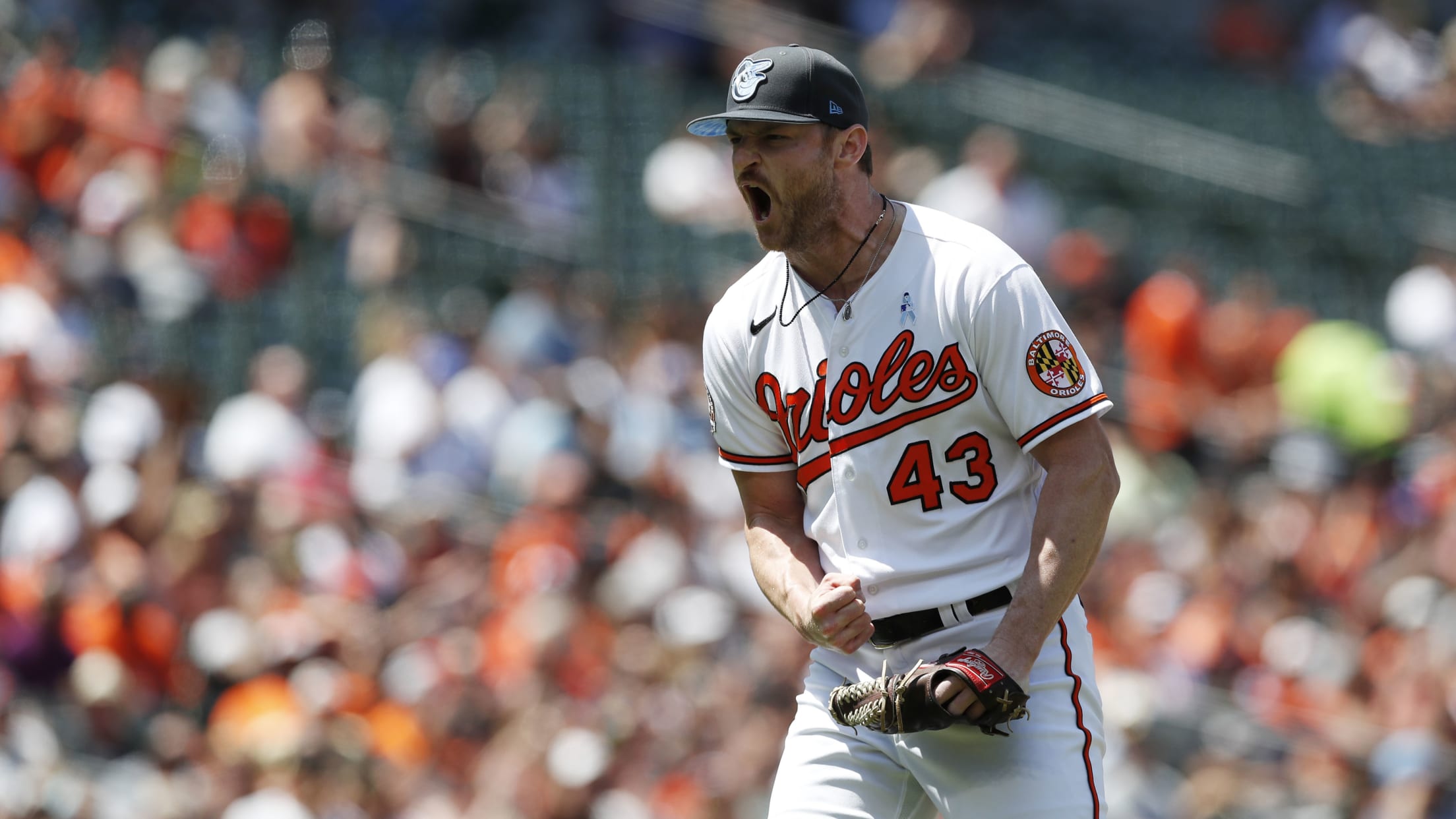 Homestand in Focus  617 - 622-026