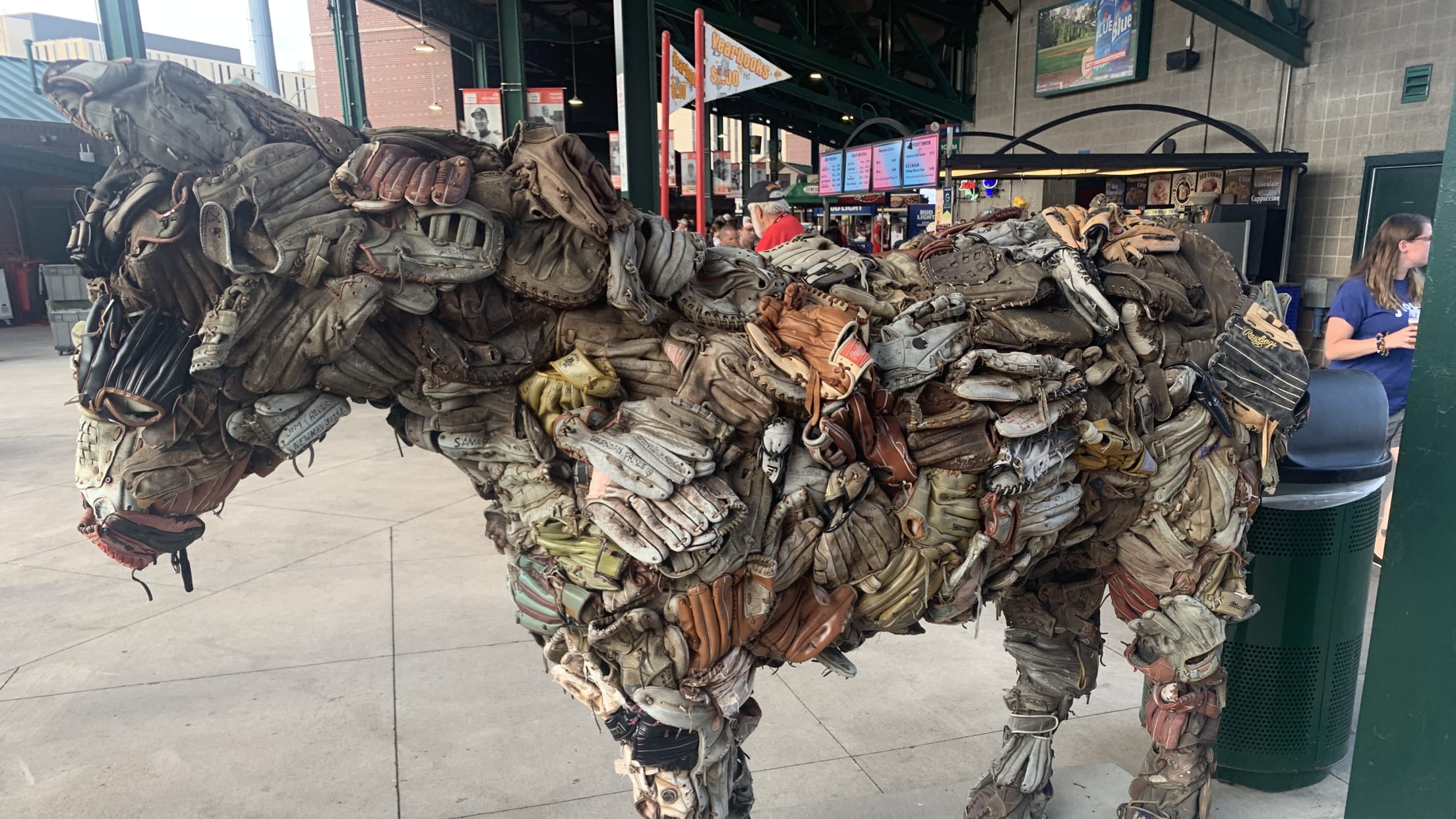 The best mascot in baseball turns 22 - Rochester Red Wings