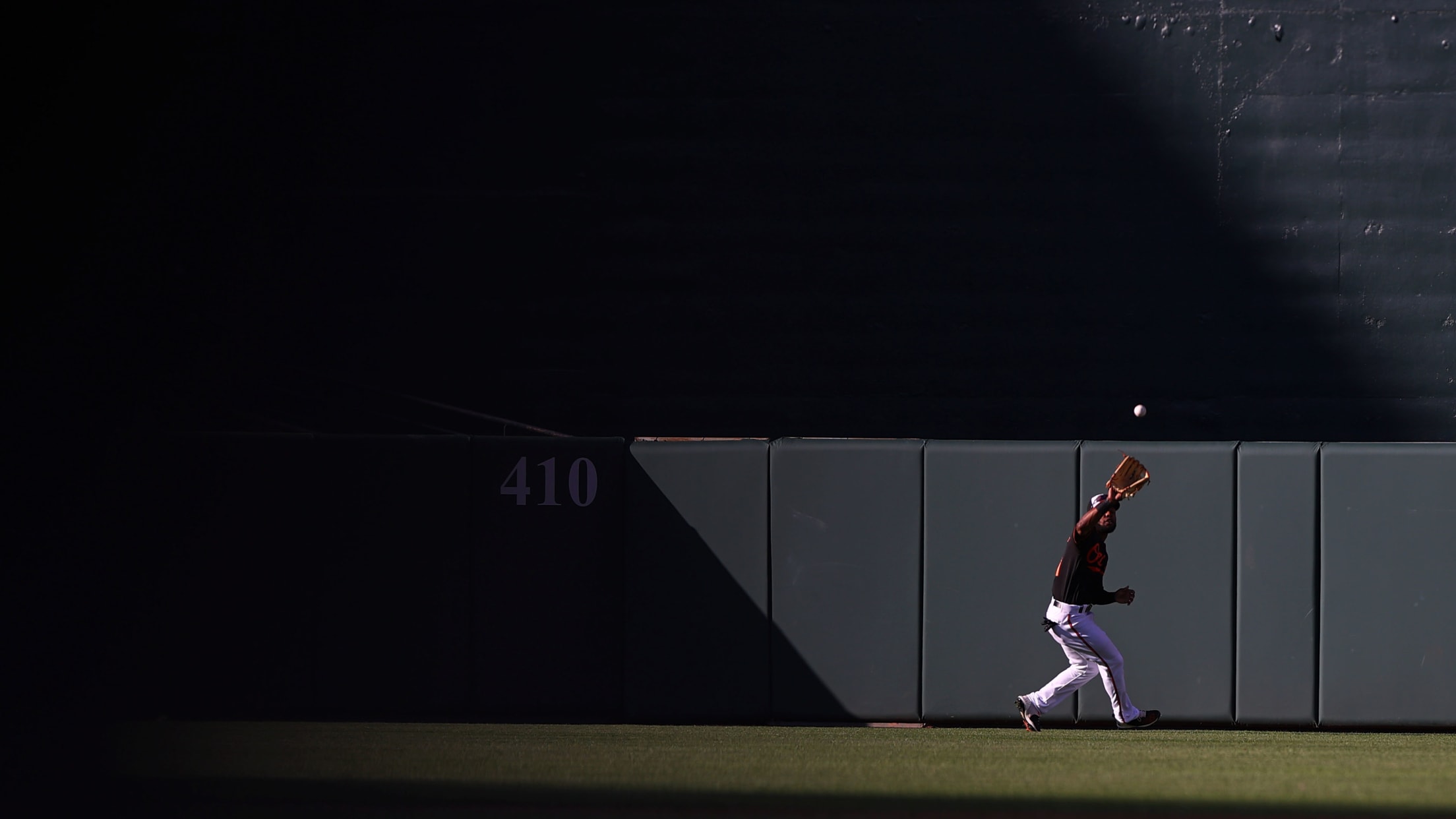 Homestand in Focus  617 - 622-018