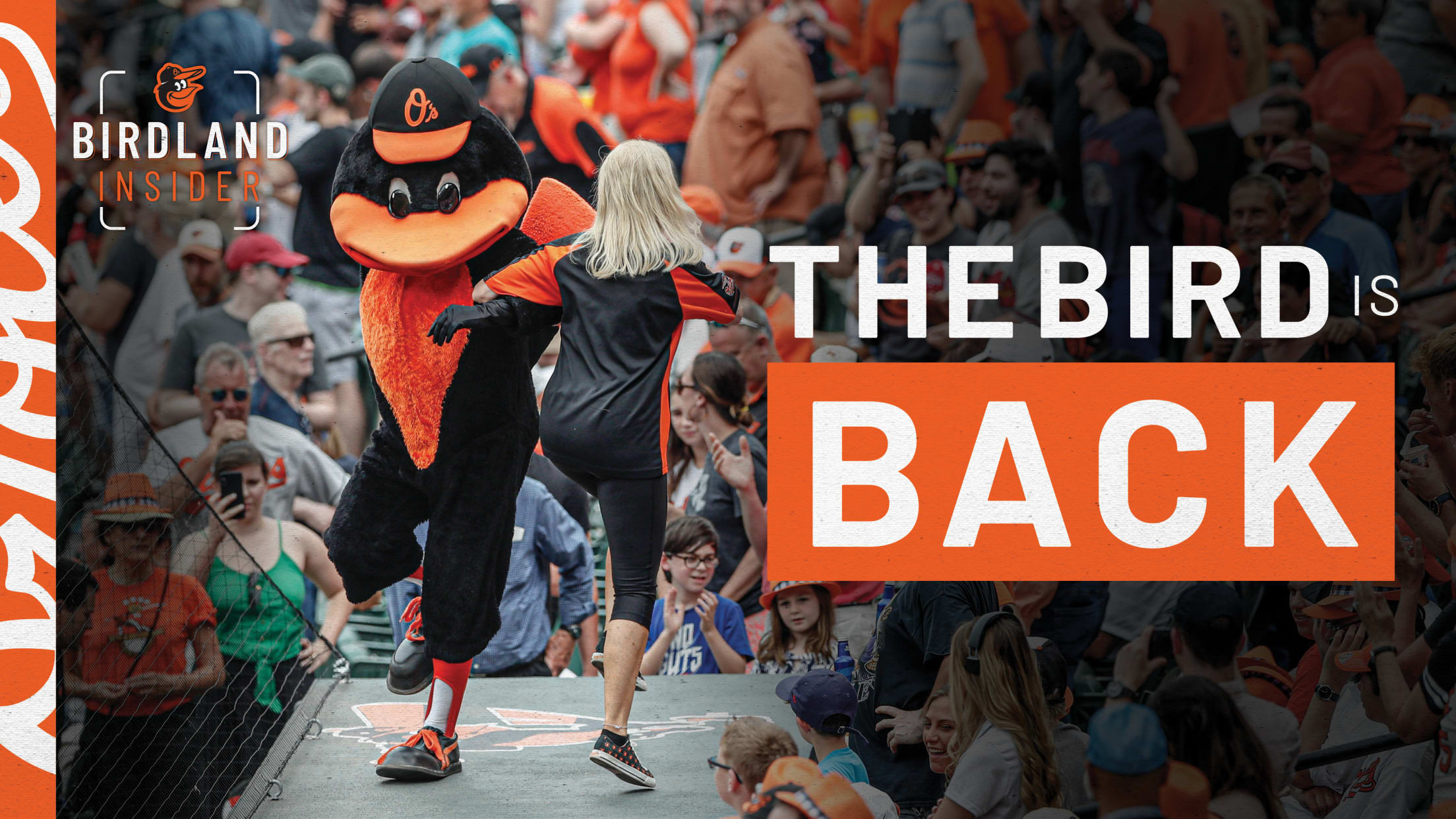 Baltimore Orioles - Welcome back, #Birdland!