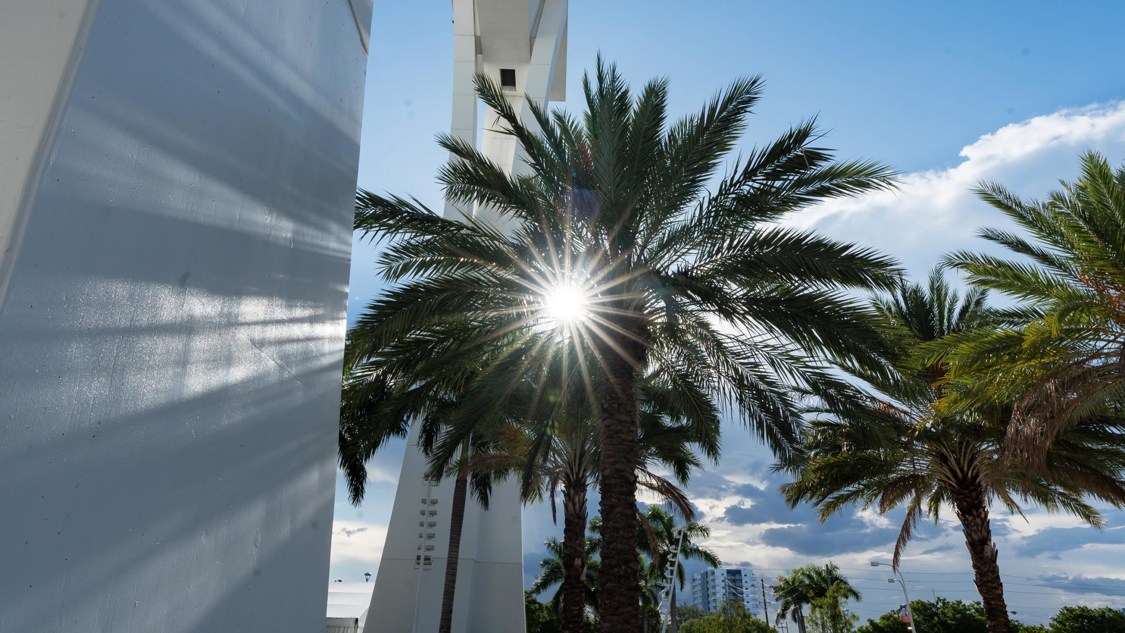 Miami Marlins - Let's make it 7️⃣ tonight. Come cheer on the fish LoanDepot  Park: marlins.com/tickets