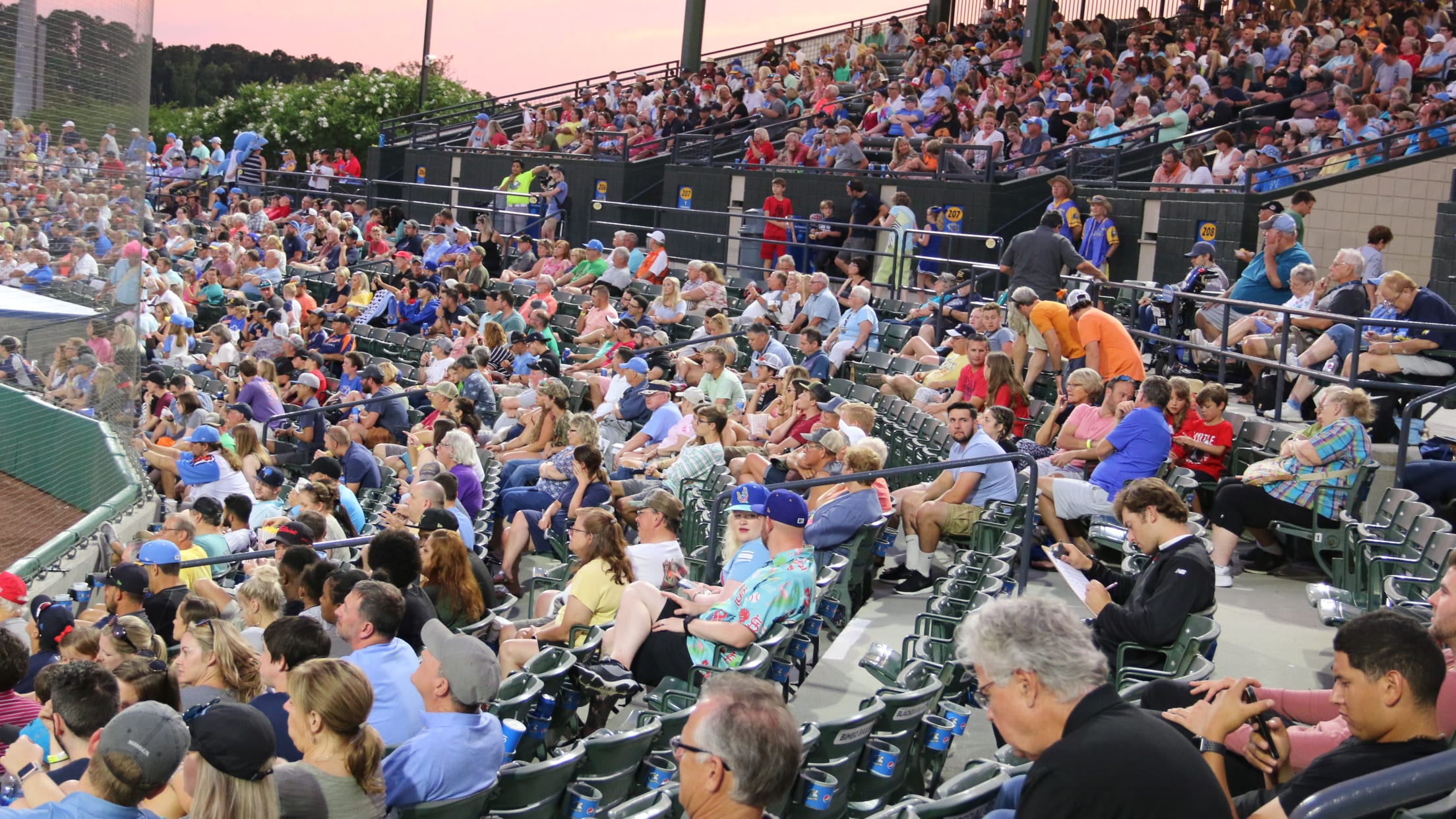 Enjoy a Night at the Ballpark with Myrtle Beach Pelicans - North Beach  Resort and Villas