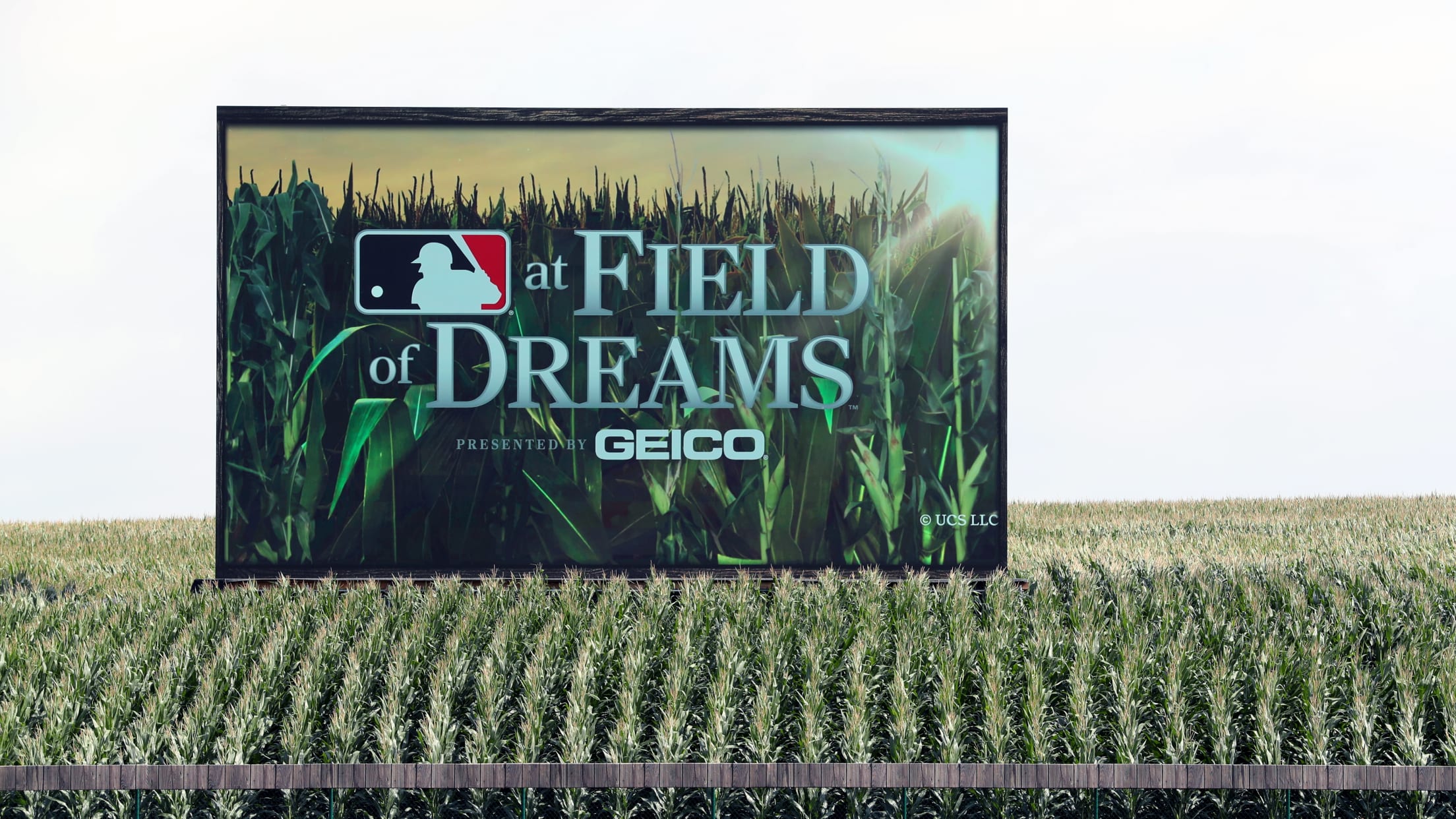 Tim Anderson makes magic at the Field of Dreams