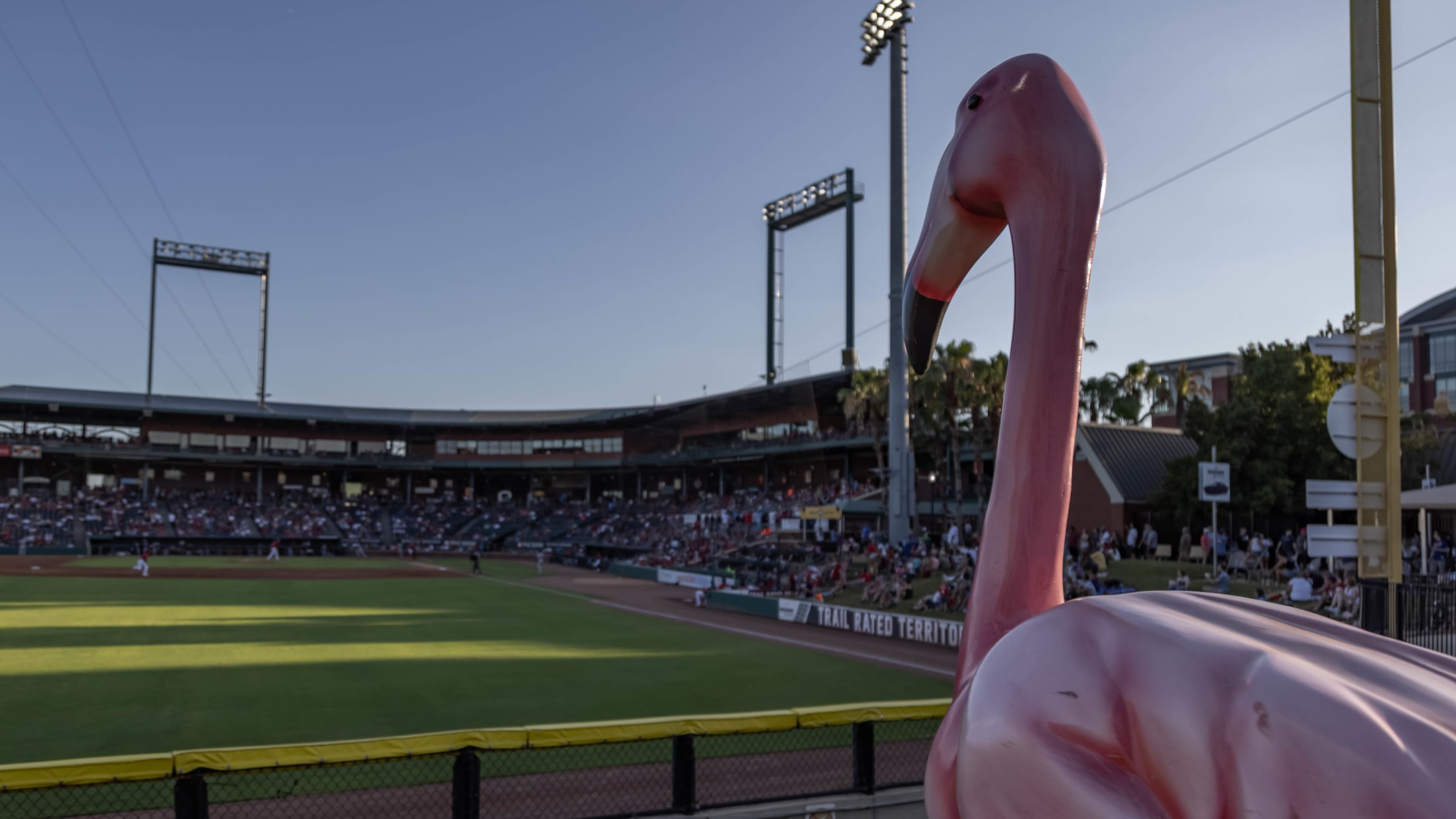 2017 Jacksonville Jumbo Shrimp Scampi Southpaw Mascot