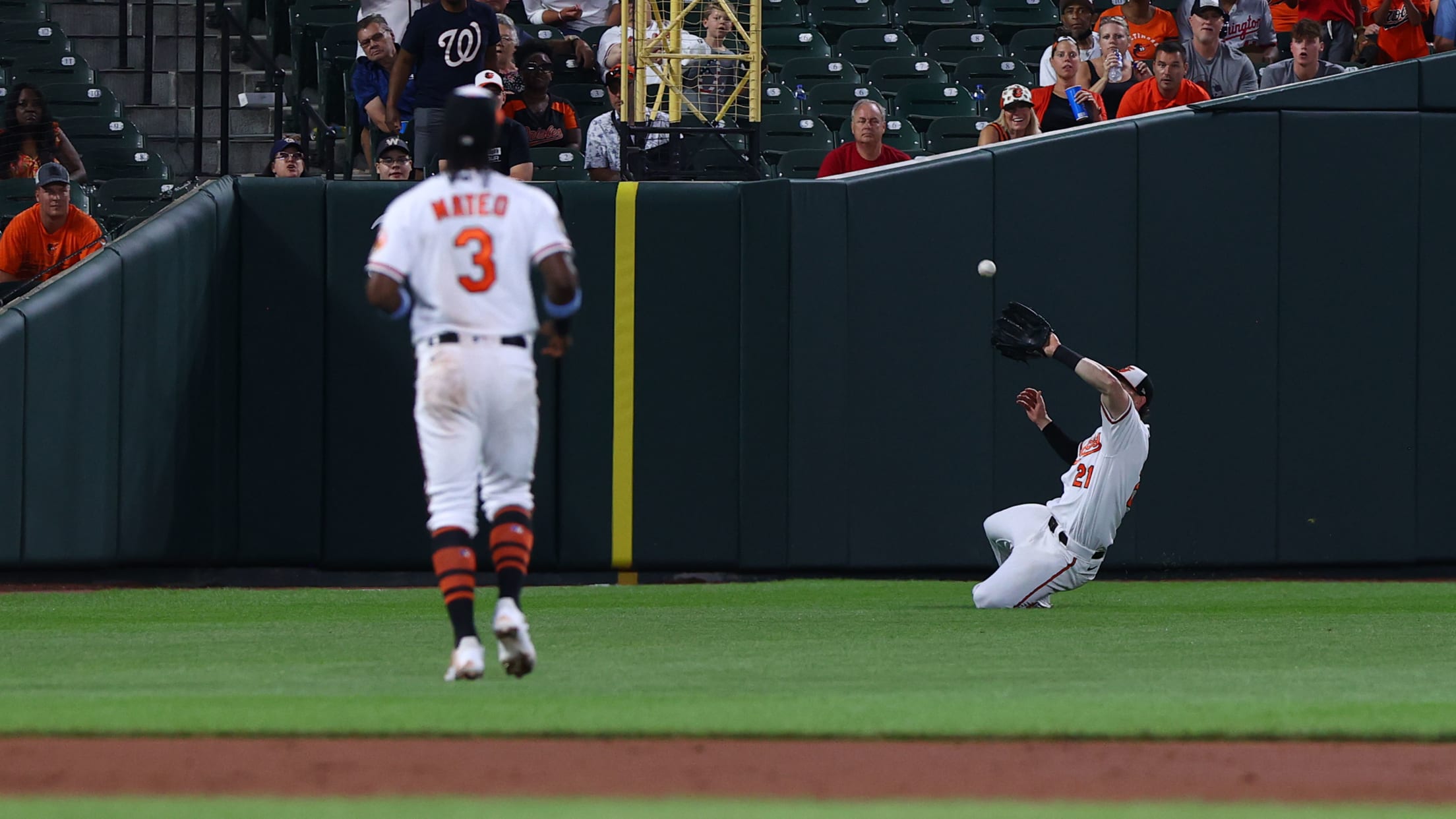 Homestand in Focus  617 - 622-031