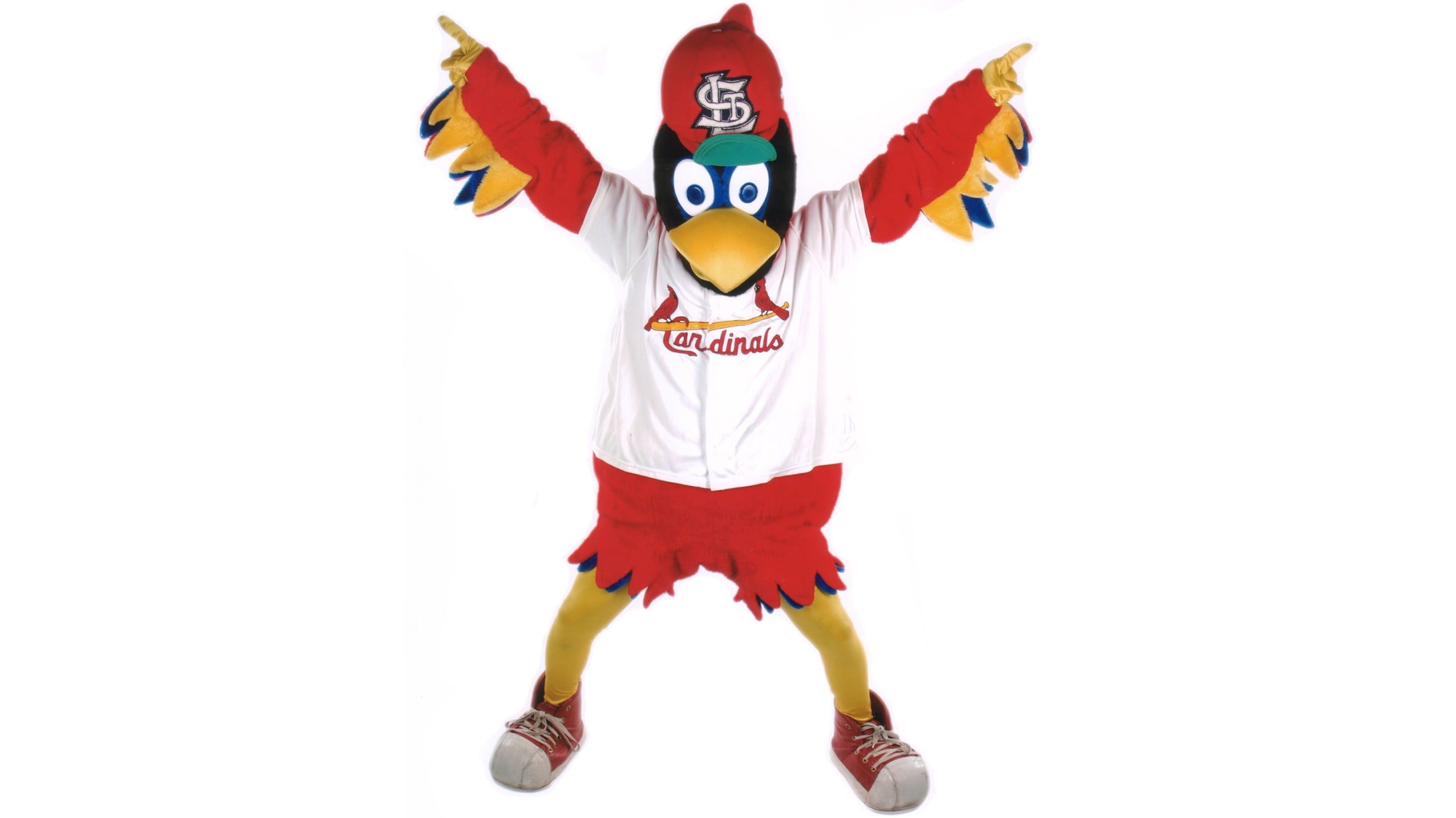 Lids Fredbird St. Louis Cardinals 12'' x 12'' Minimalist Mascot