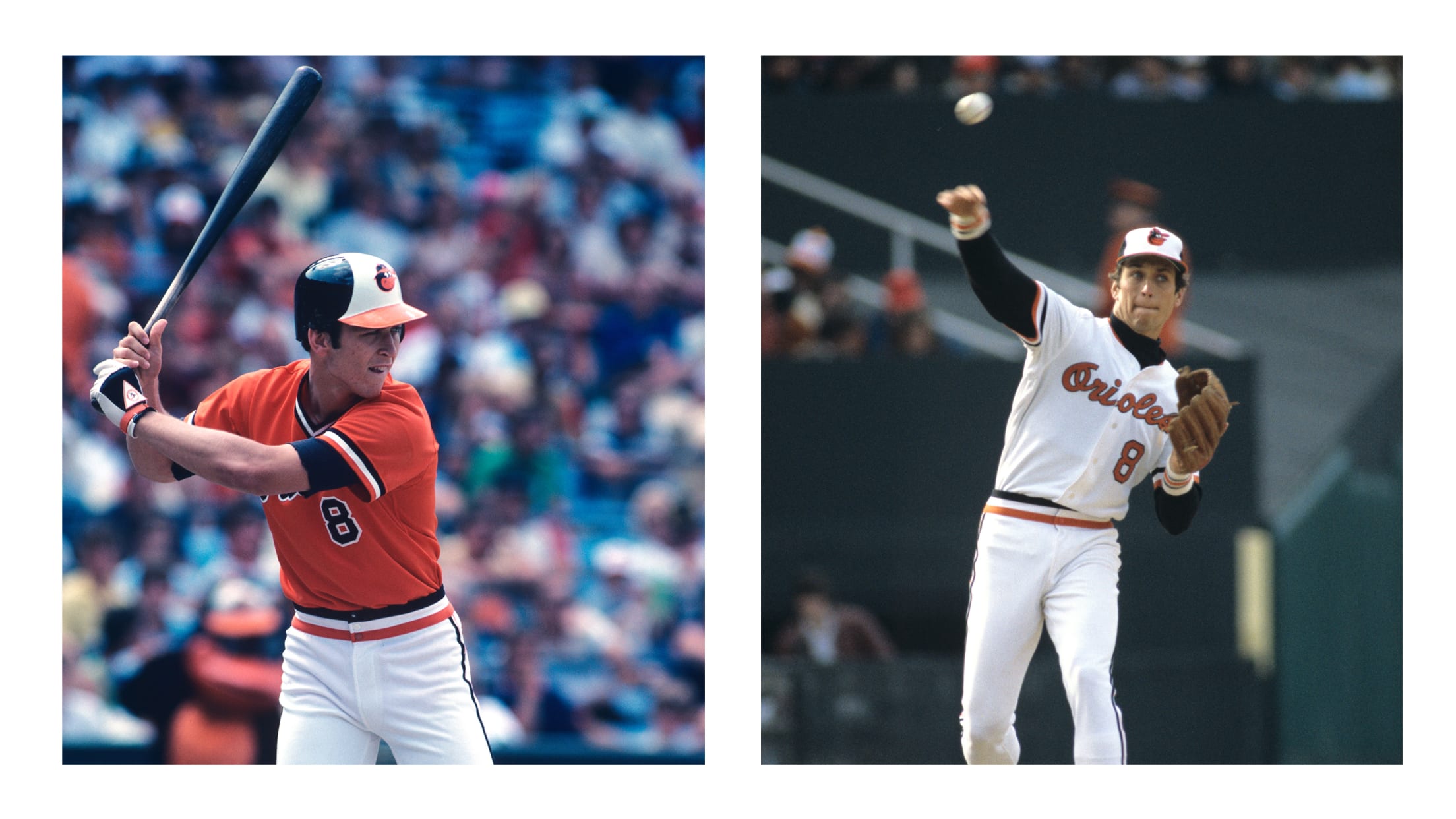 BALBirdlandInsider3_060820