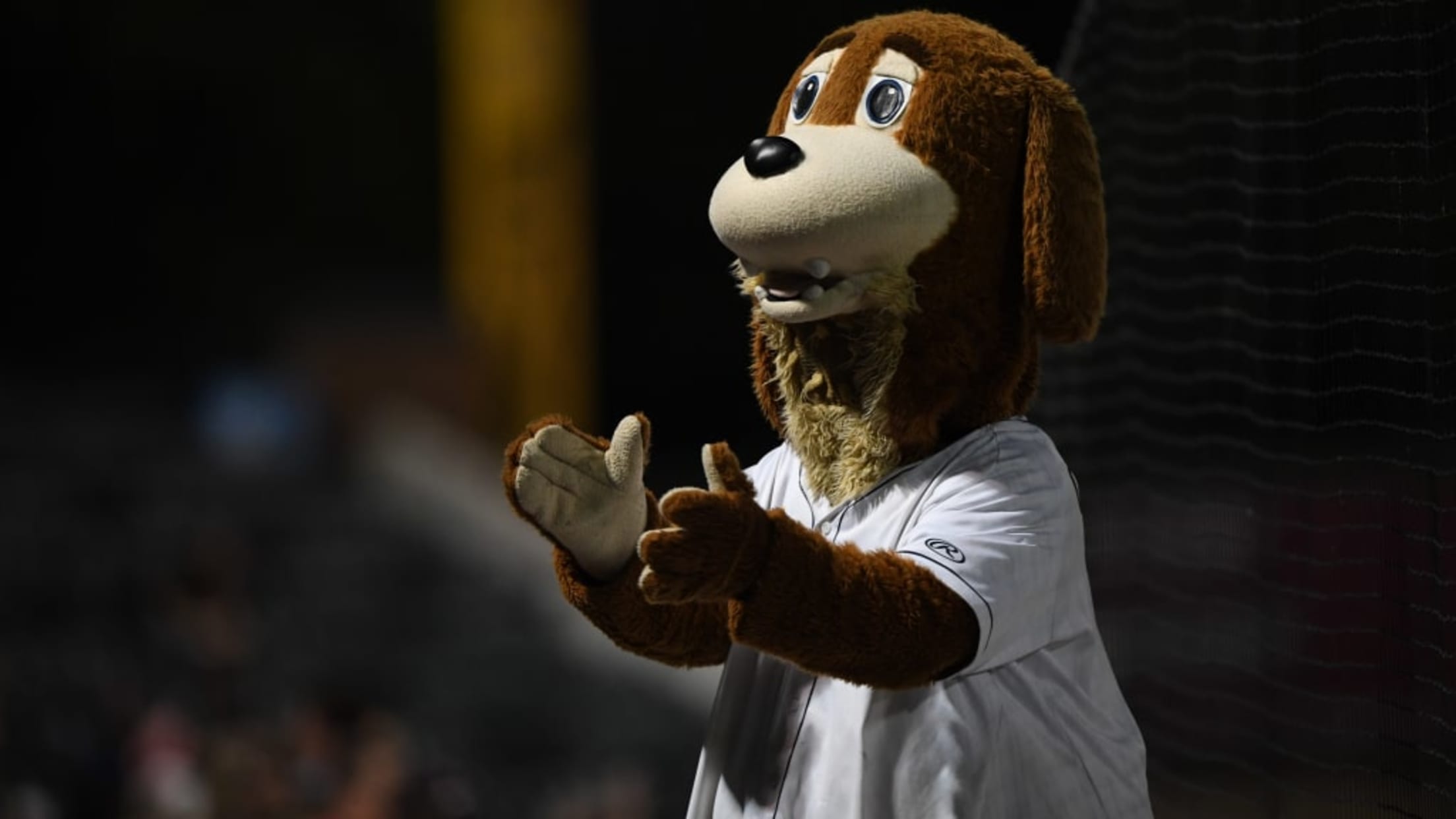 2023 Charleston RiverDogs Charlie Chelsea Mascot