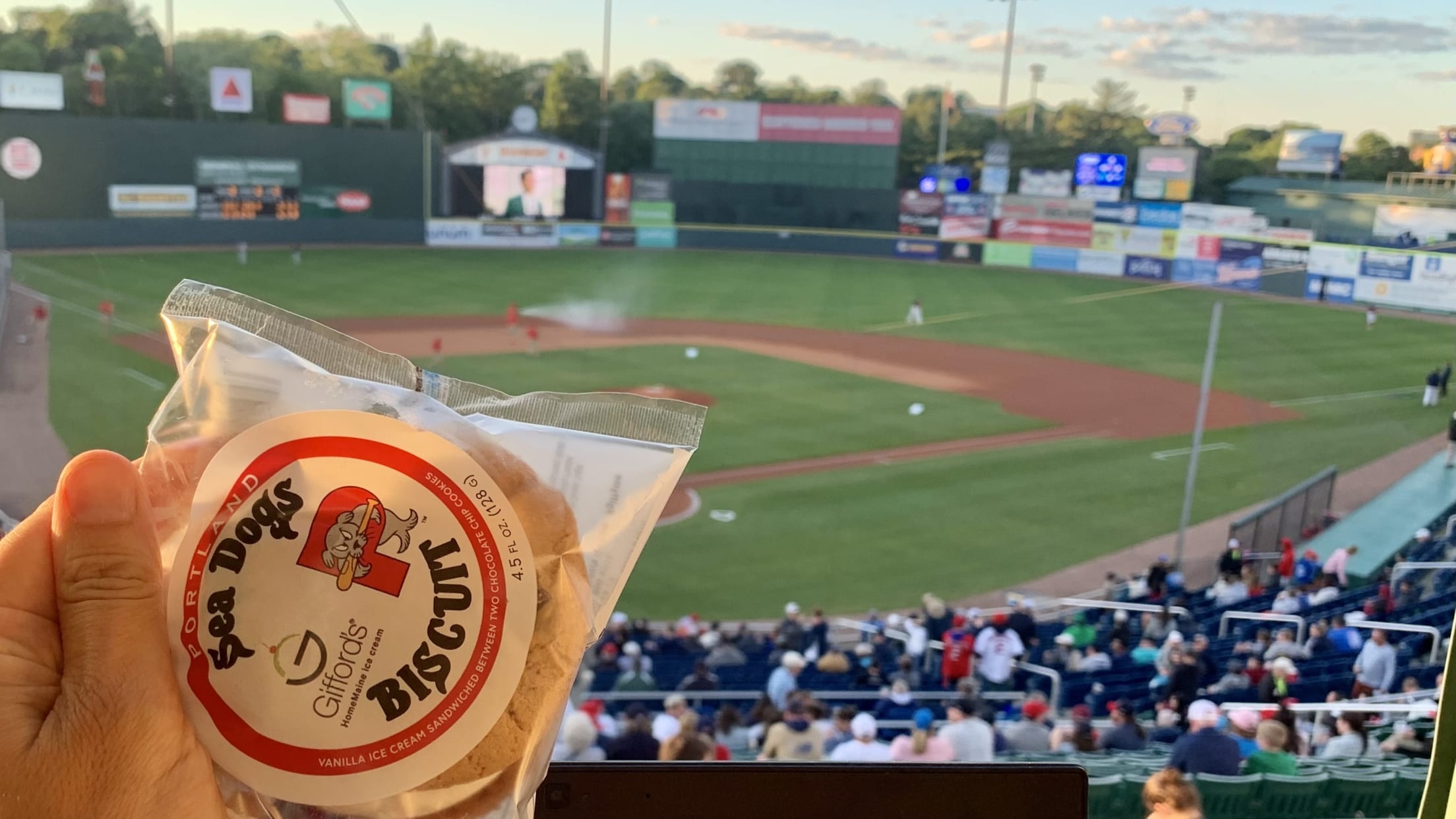 Visit Hadlock Field Home of the Portland Sea Dogs