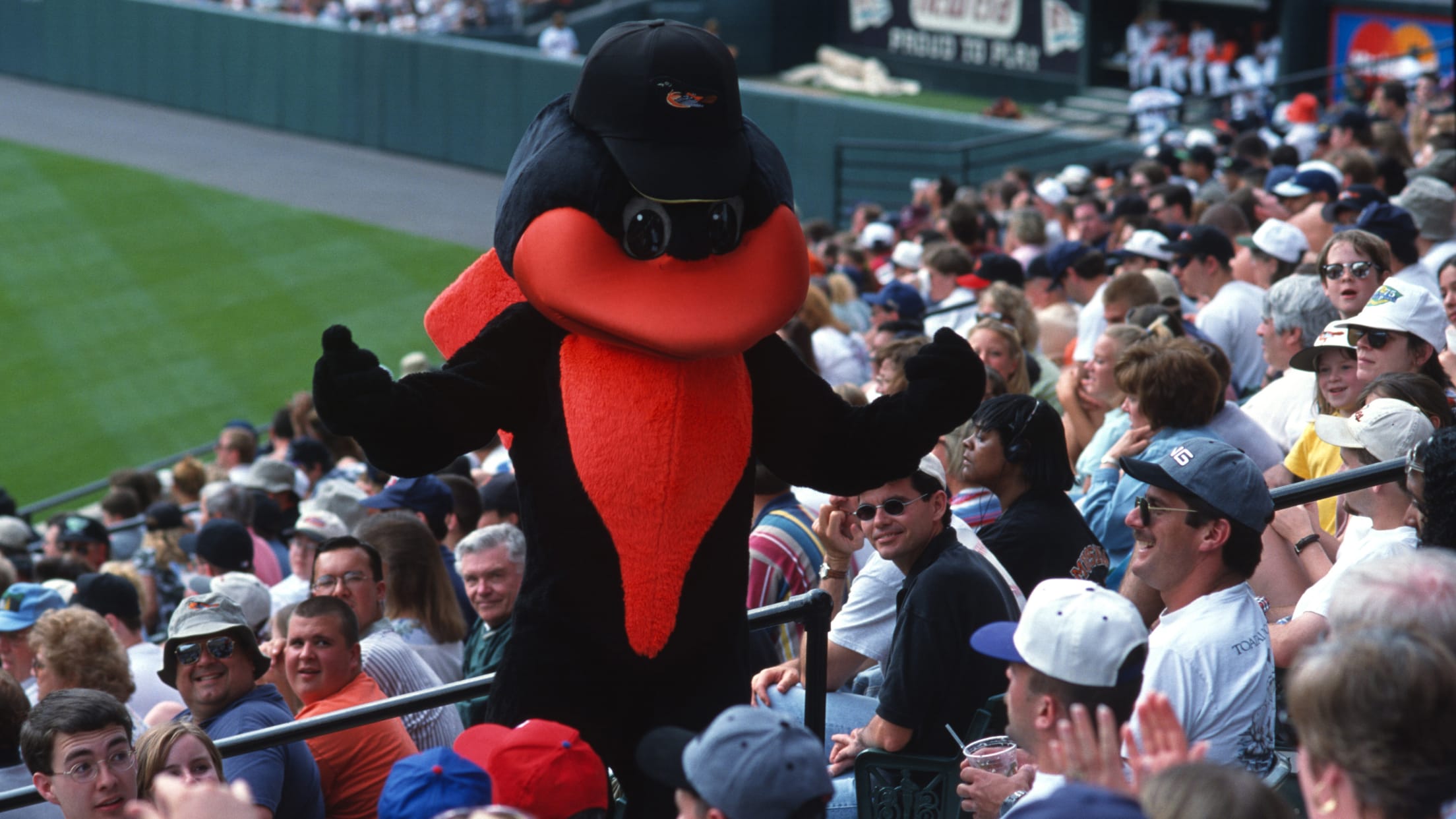 Baltimore Orioles mascot fights back after fan takes low blow