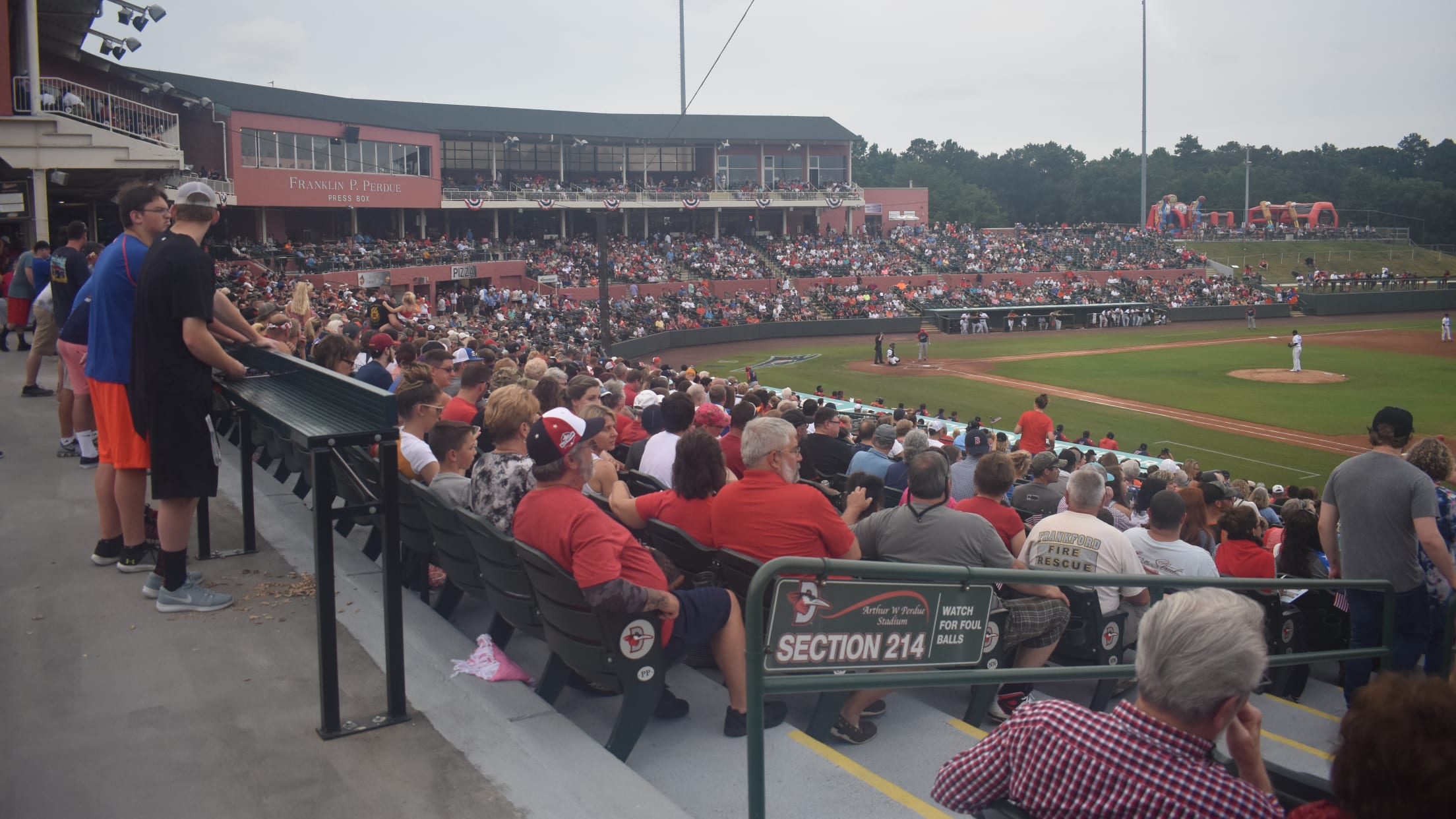 Delmarva Shorebirds Premium Pennant