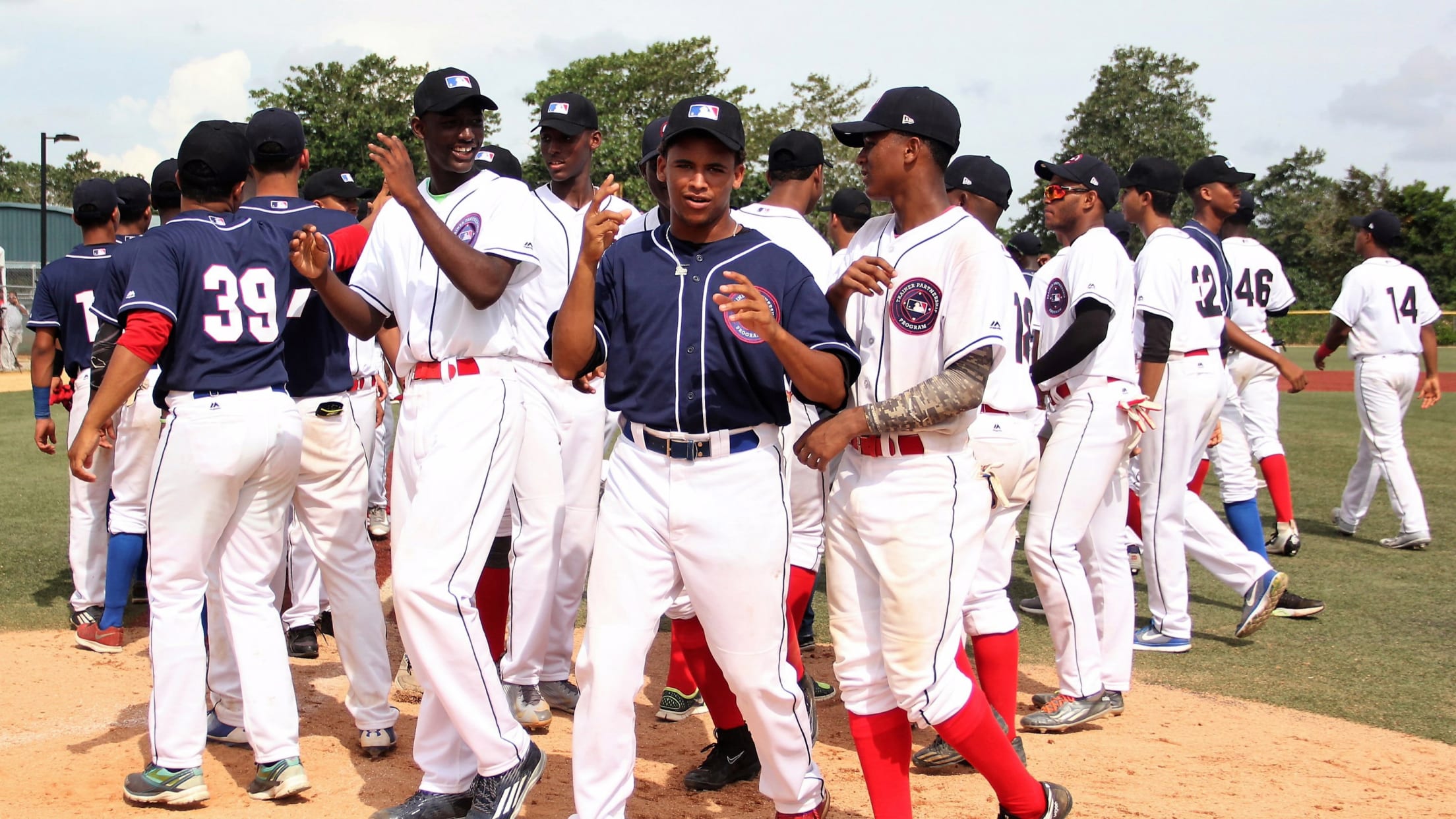 Programa de afiliados de béisbol