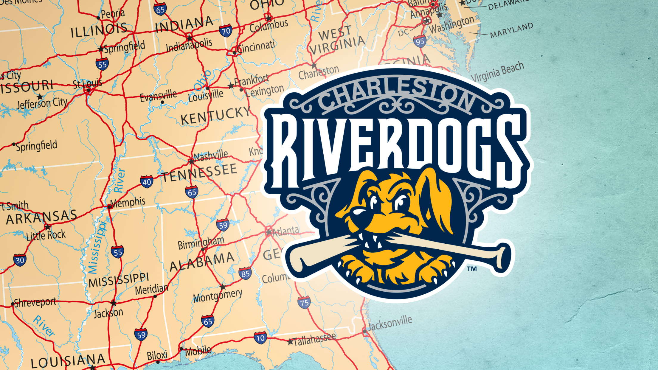 RiverDogs' Judge called up to Single-A Tampa