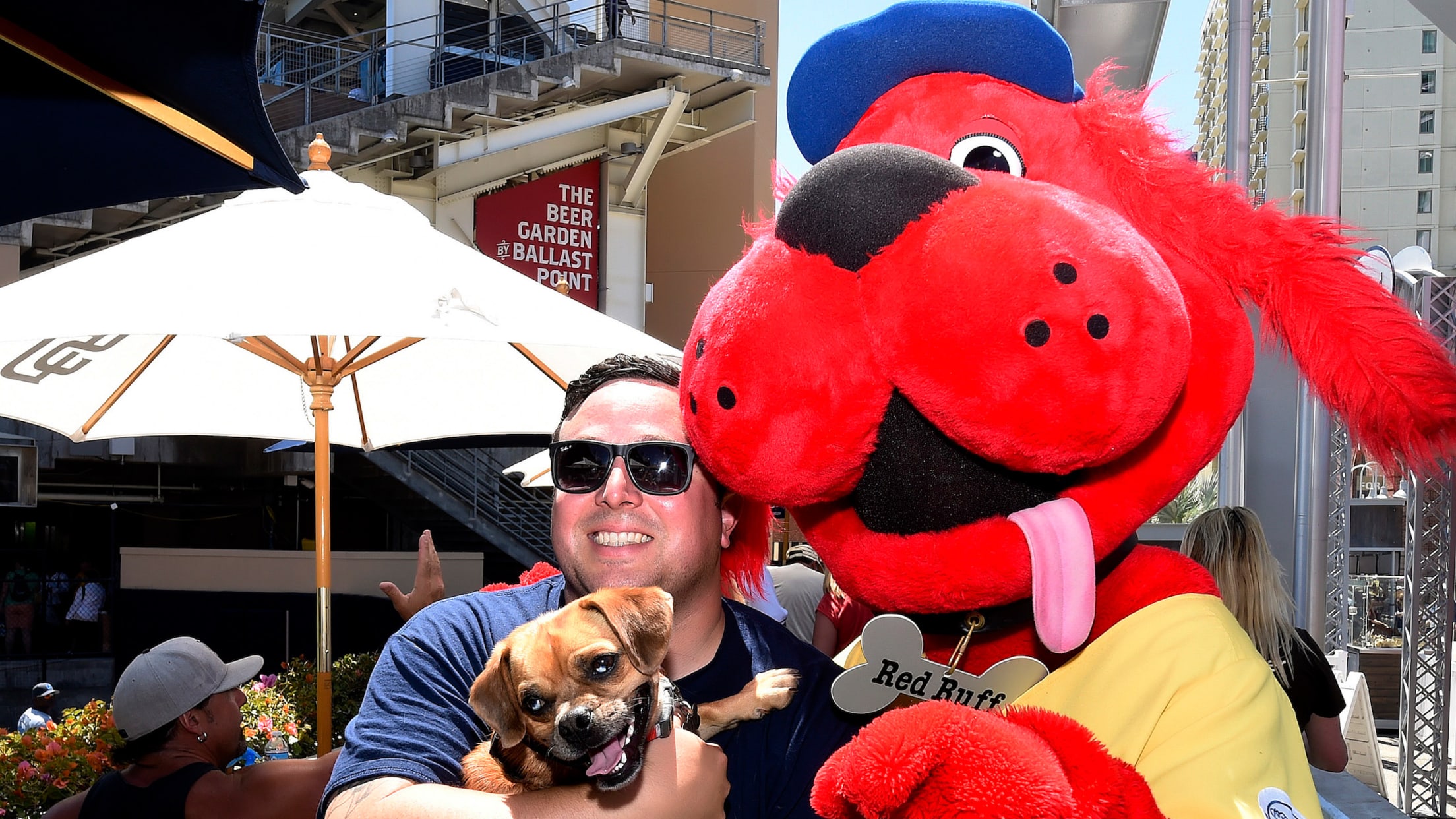 PAWdre game vlog🤭⚾️🤎 #petcopark #baseballdog #padres #barkyard #lfgs