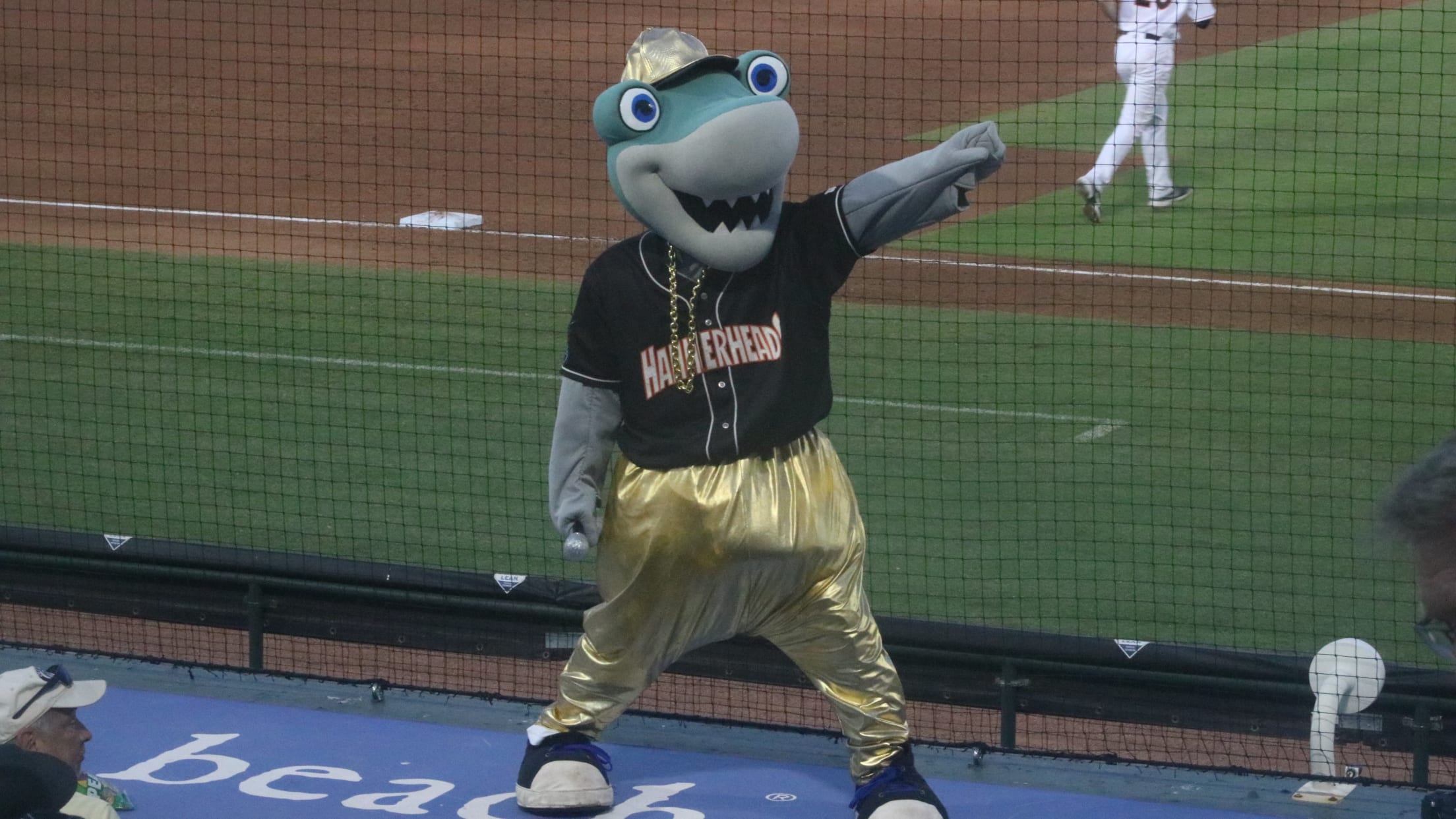 Pensacola Blue Wahoos hosting Easter weekend events at stadium