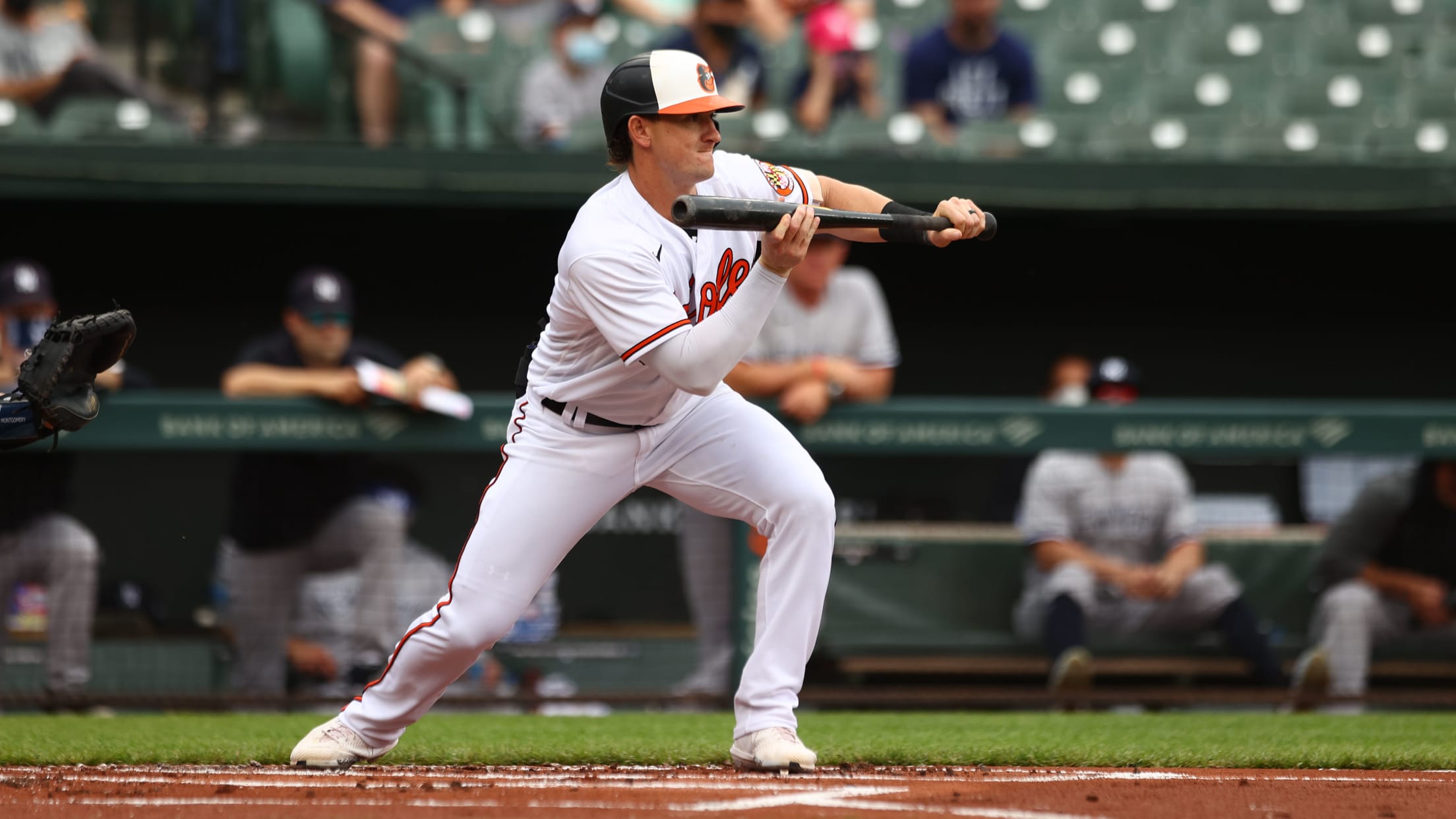 bal-rapid-questions-with-austin-hays-011