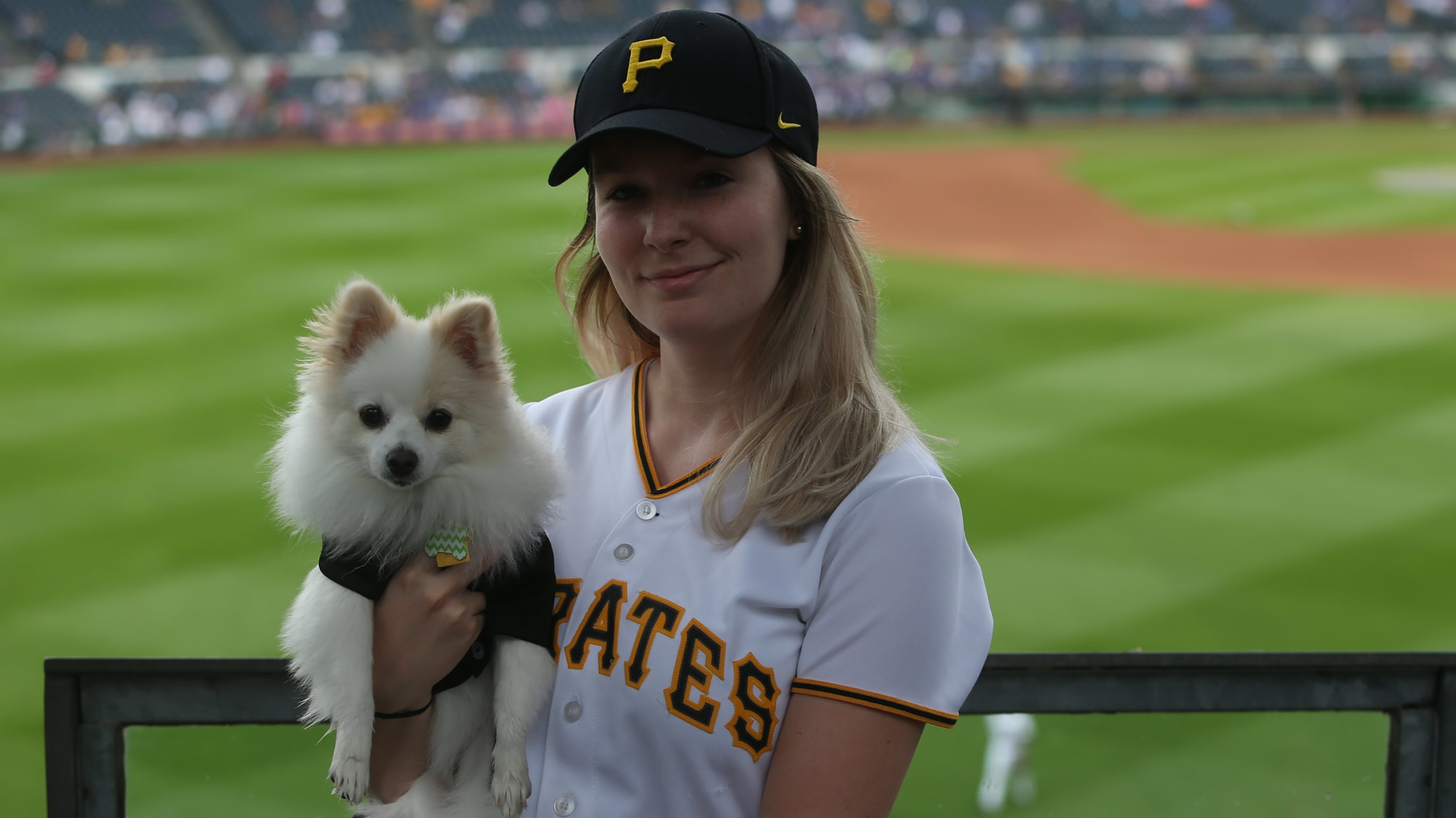 Pup Nights Pittsburgh Pirates