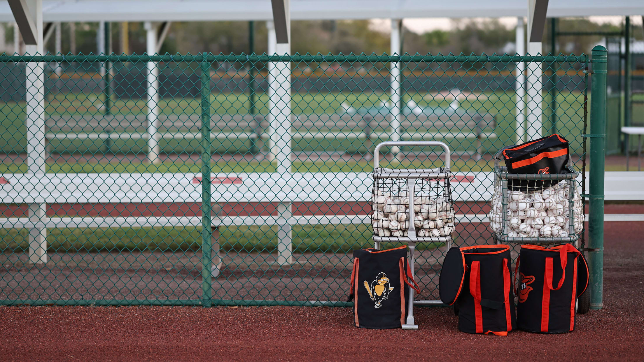 bal-spring-training-week-one-001