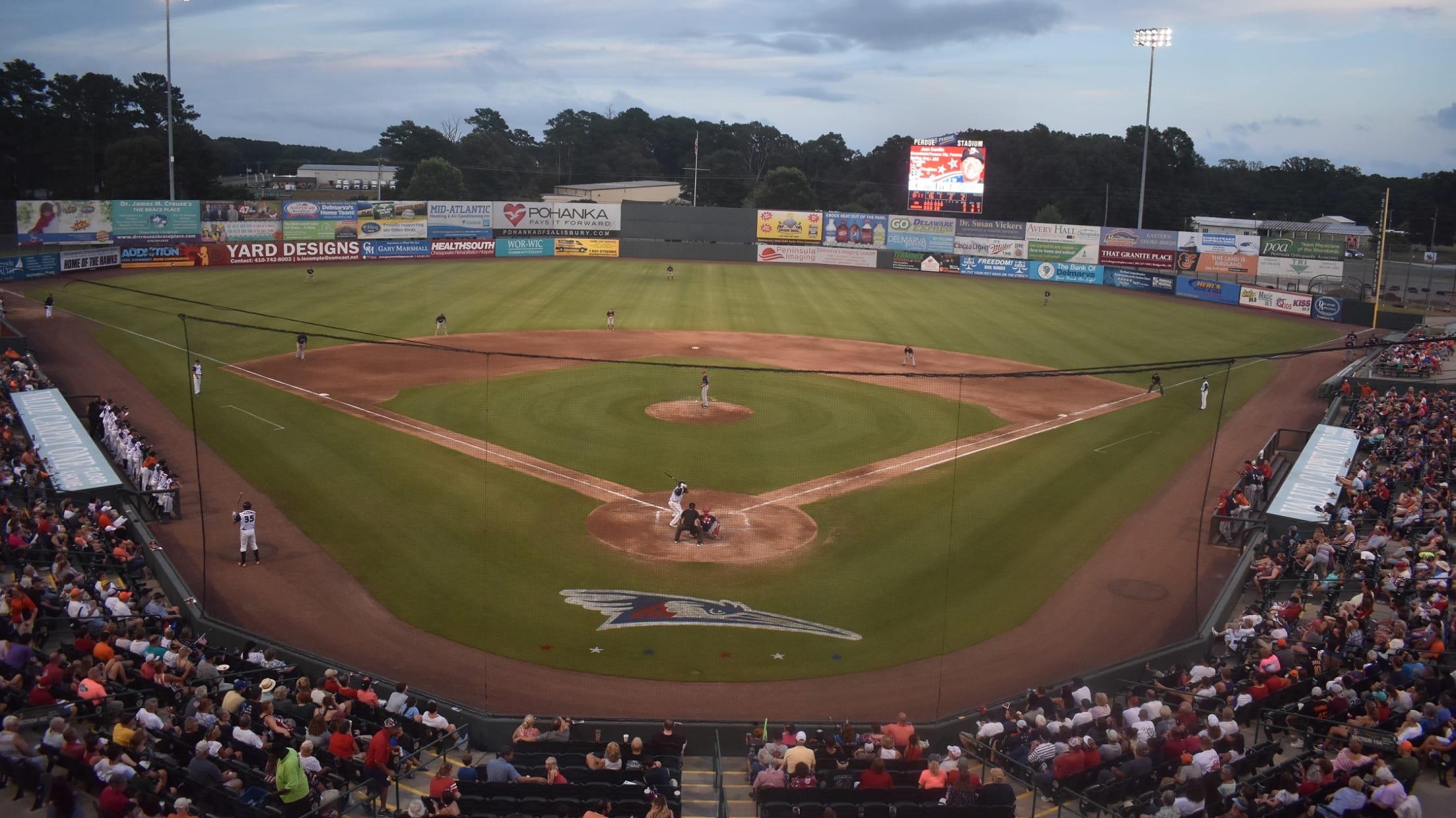 Shorebirds Individual Tickets NOW AVAILABLE for 2023 Season!