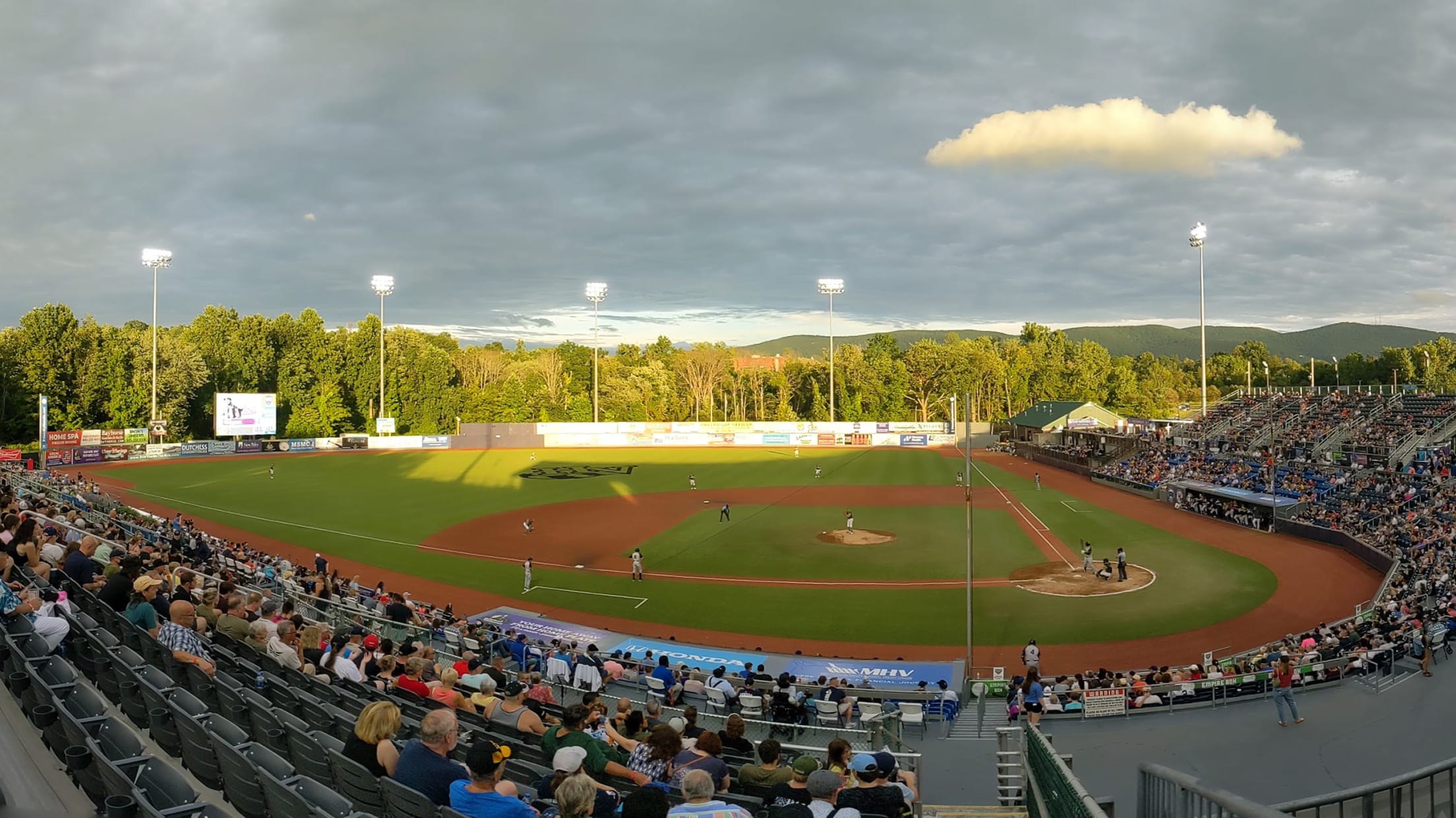 2023 Hudson Valley Renegades Rascal Rosie Mascot