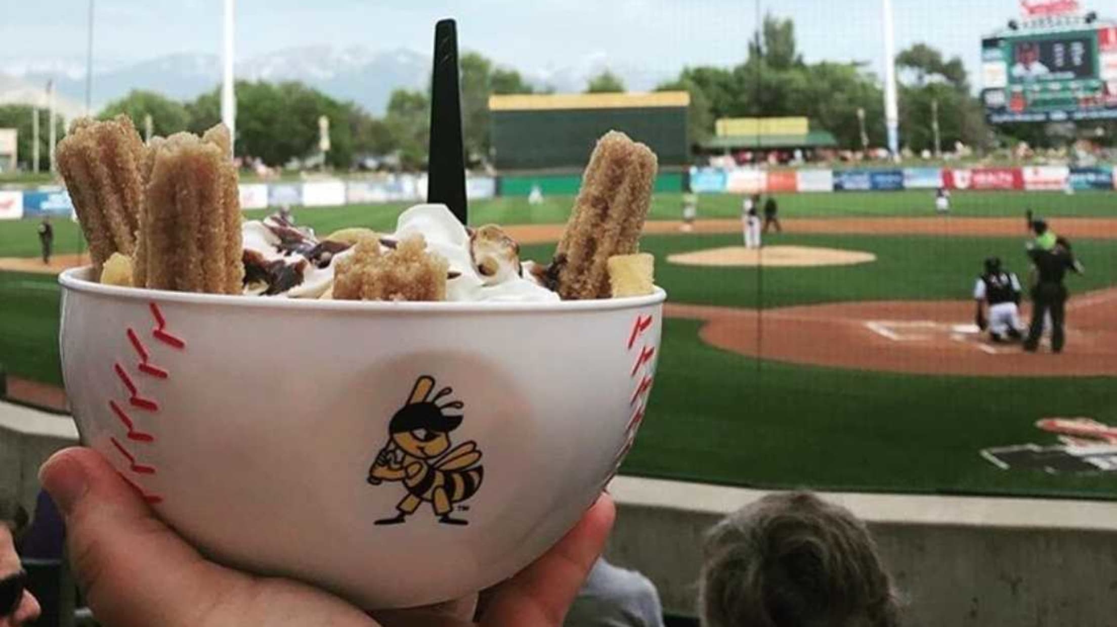 Salt Lake Bees  Salt Lake City UT