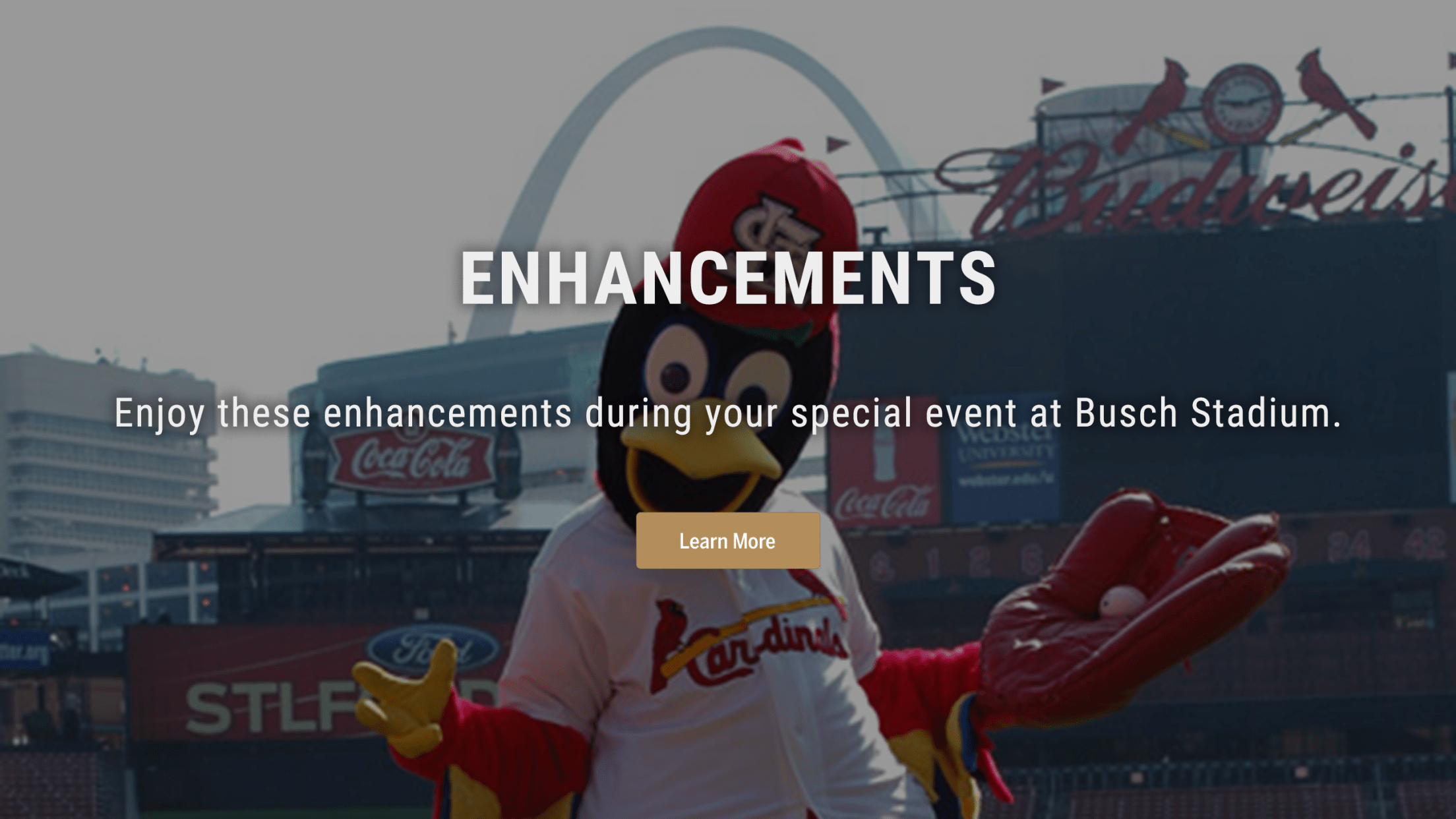 Enhancements, Special Events