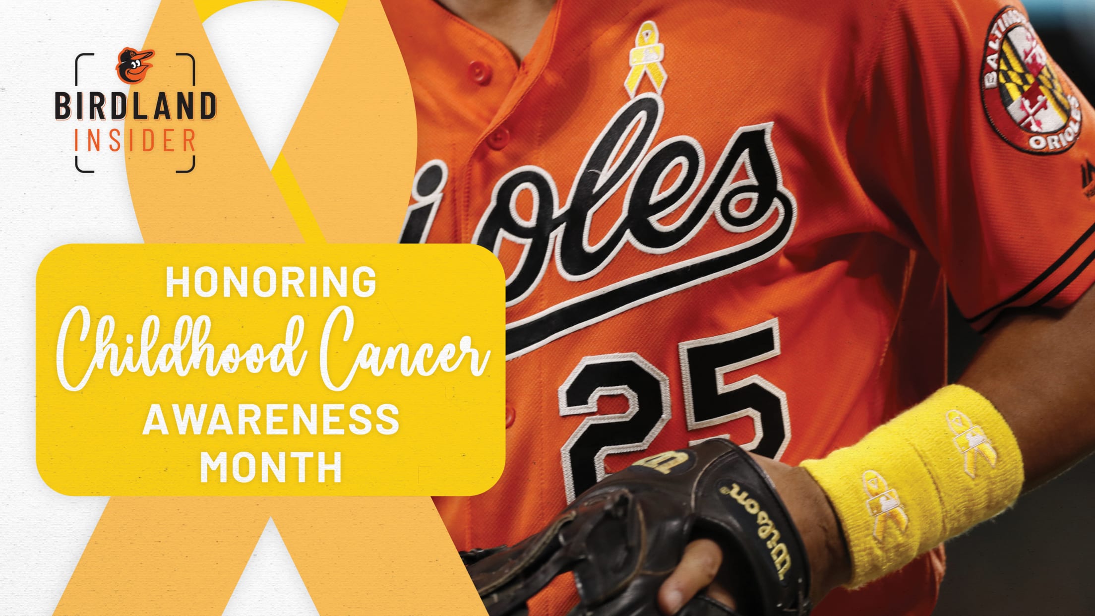 RARE * 2017 MLB Team Issued Childhood Cancer Awareness New Wrist