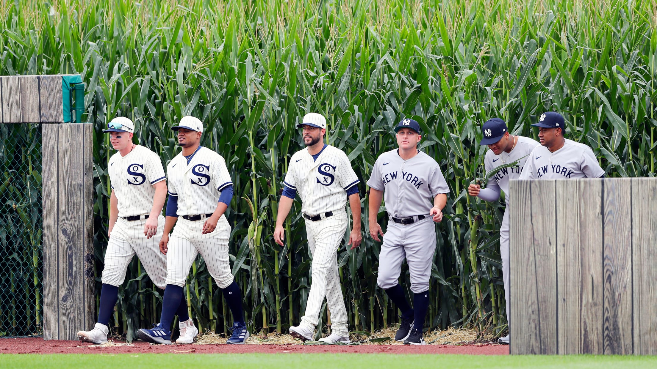 20210812MD_8058709-1