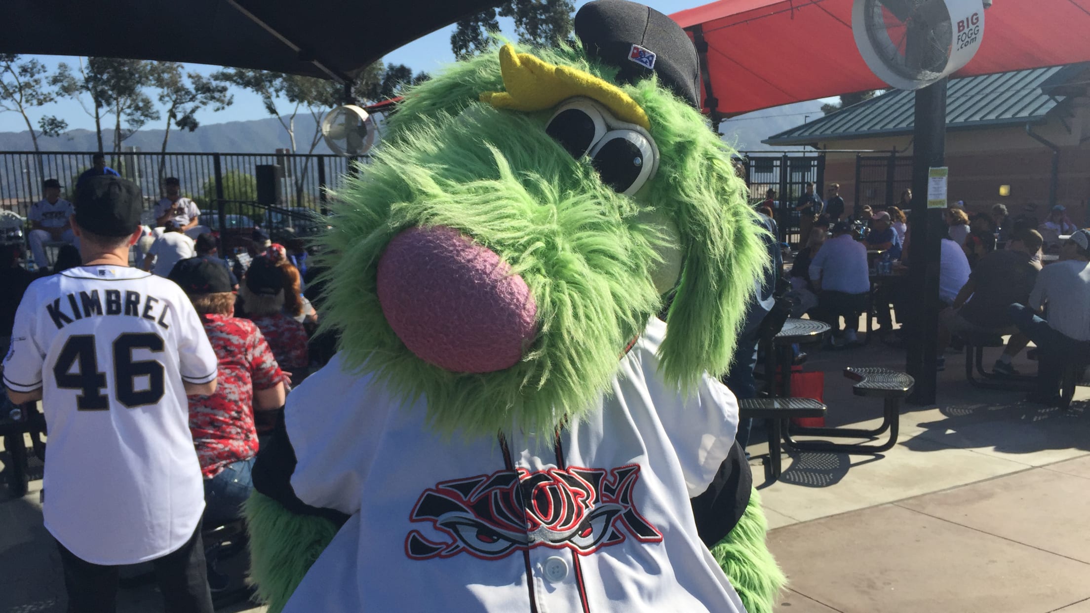 Lake Elsinore Storm Schedule 2022 Visit The Diamond Home Of The Lake Elsinore Storm | Mlb.com