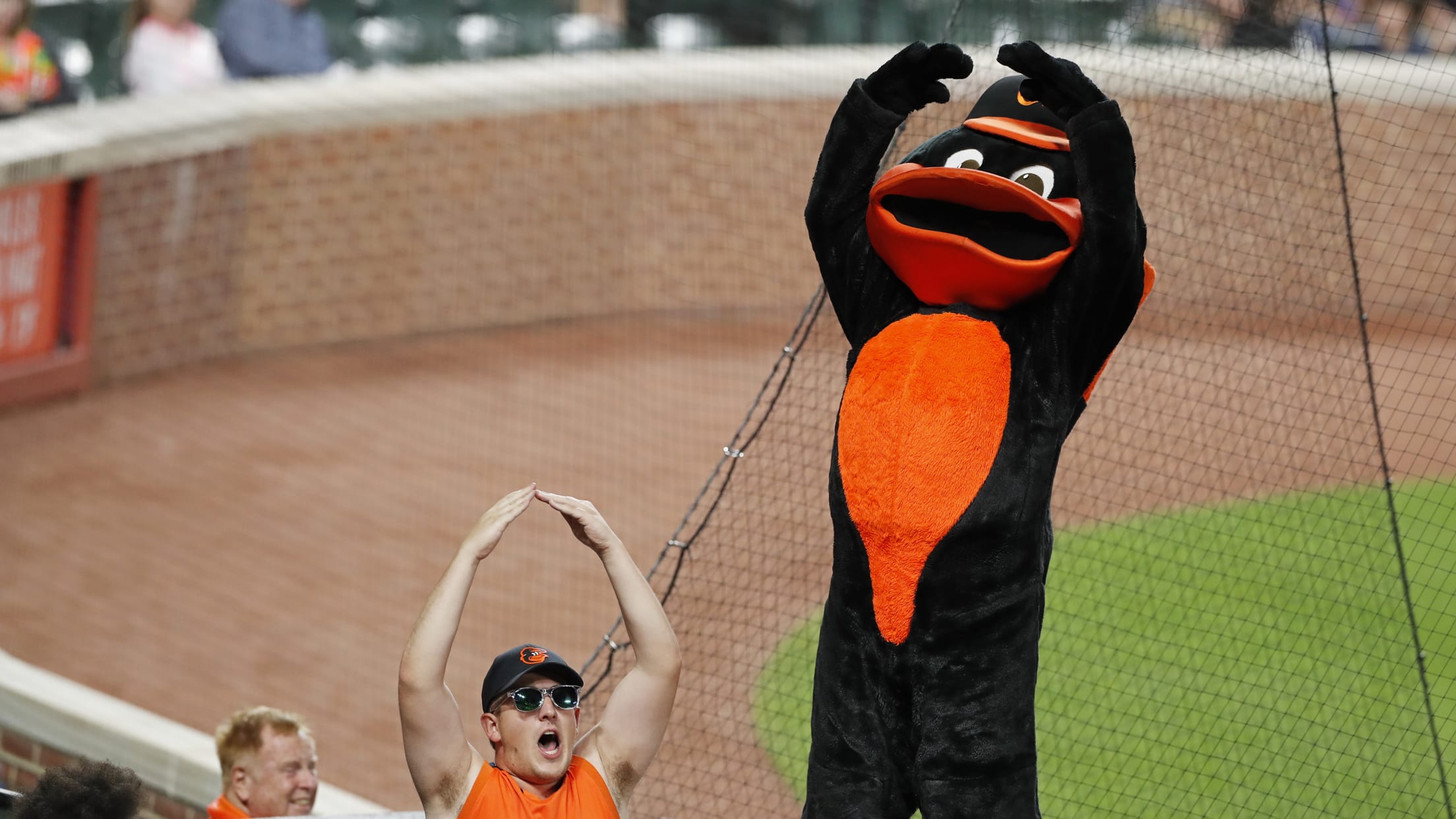 The Bird is Back | Baltimore Orioles