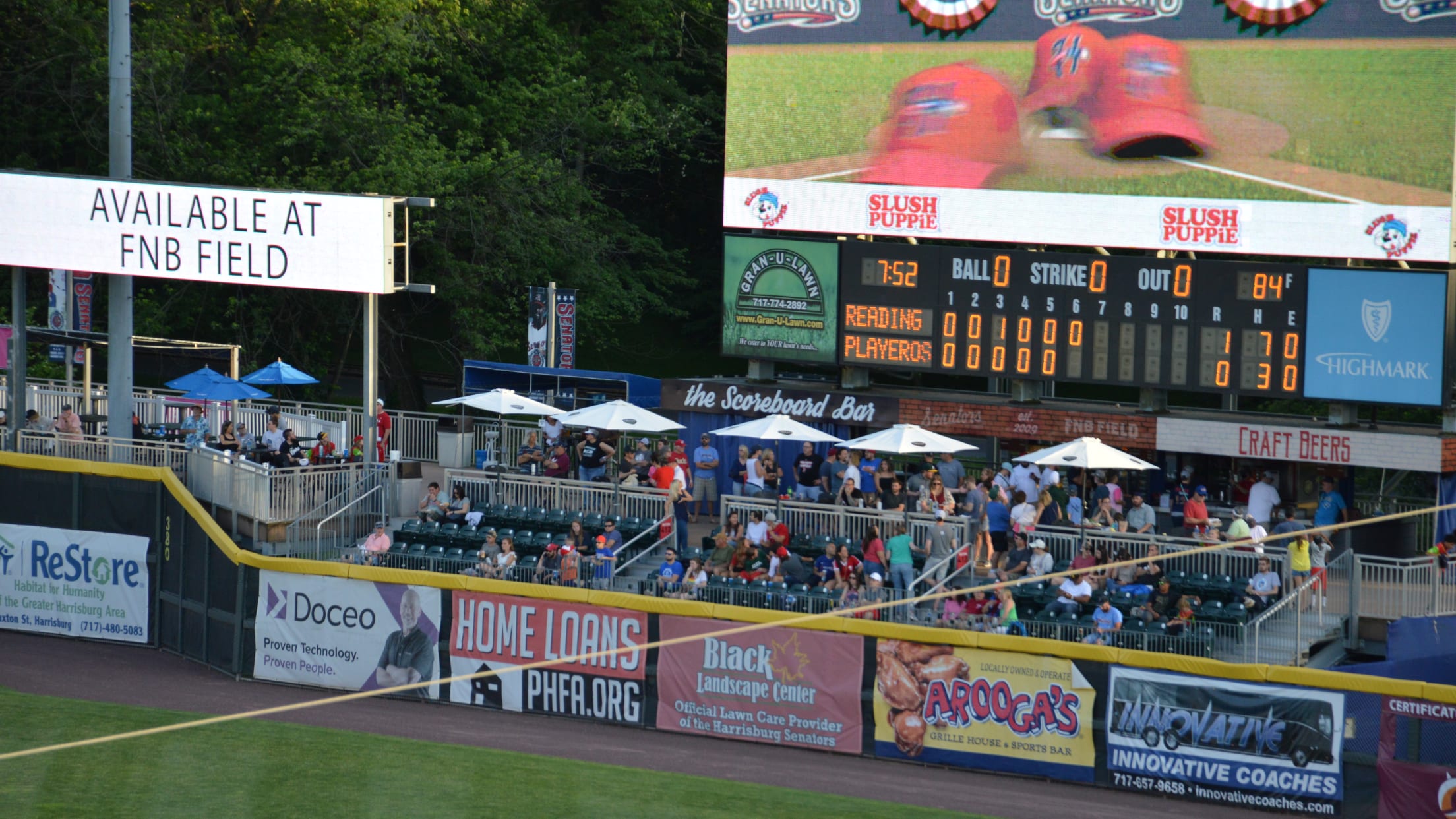 2021 Harrisburg Senators Rascal Mascot