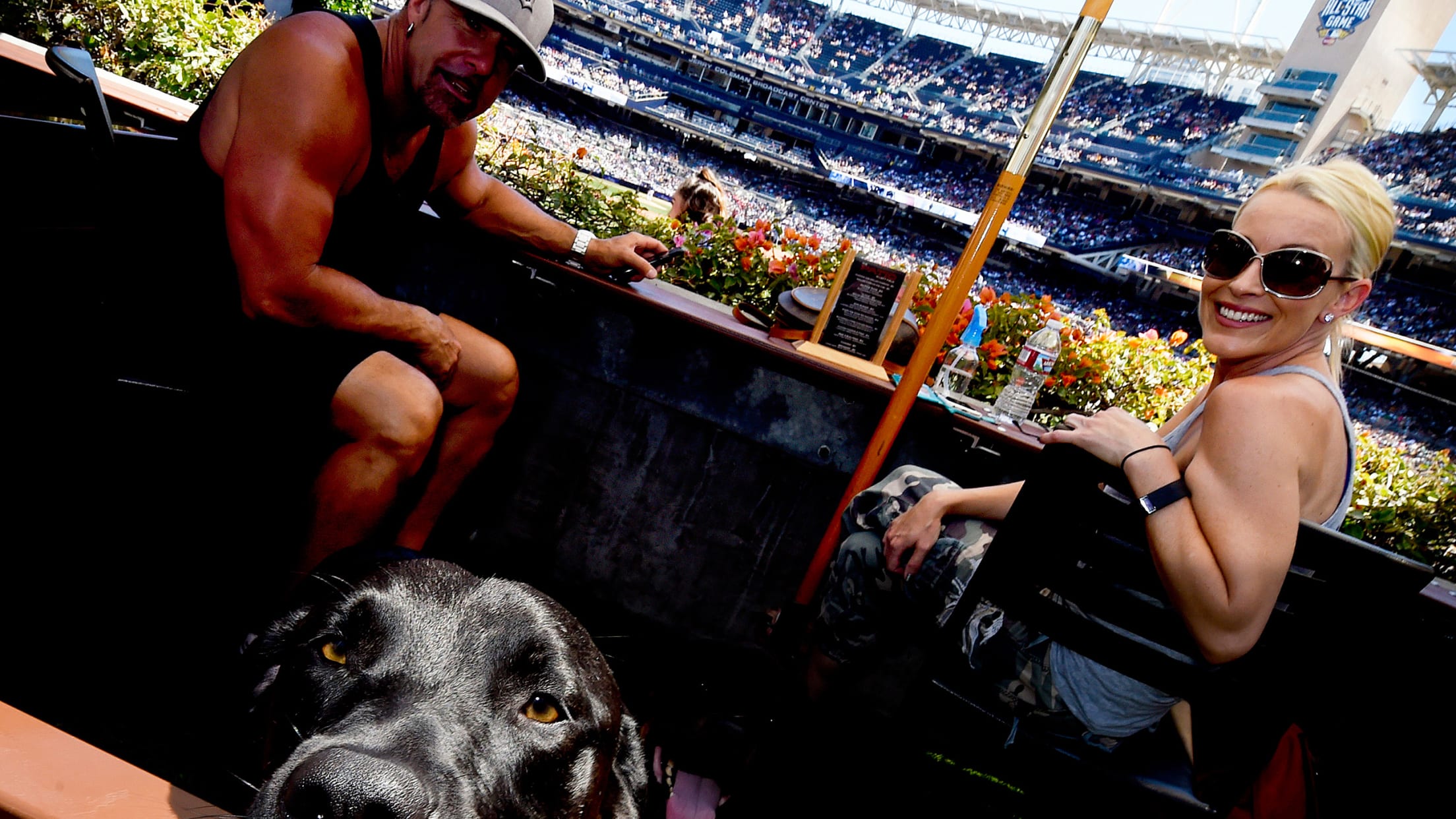 Bark at the park 8/17 : r/Padres