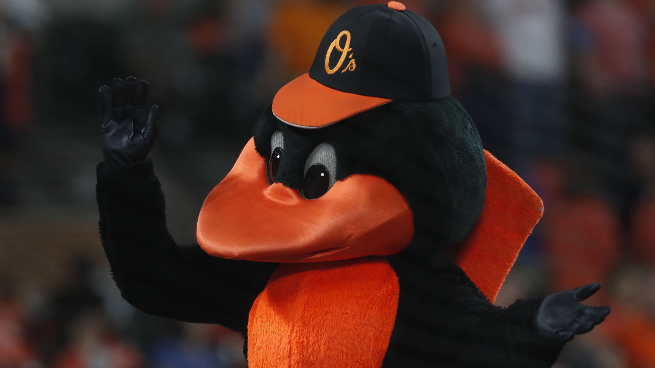 Birdland Insider: Oriole Bird Inducted to Mascot Hall of Fame