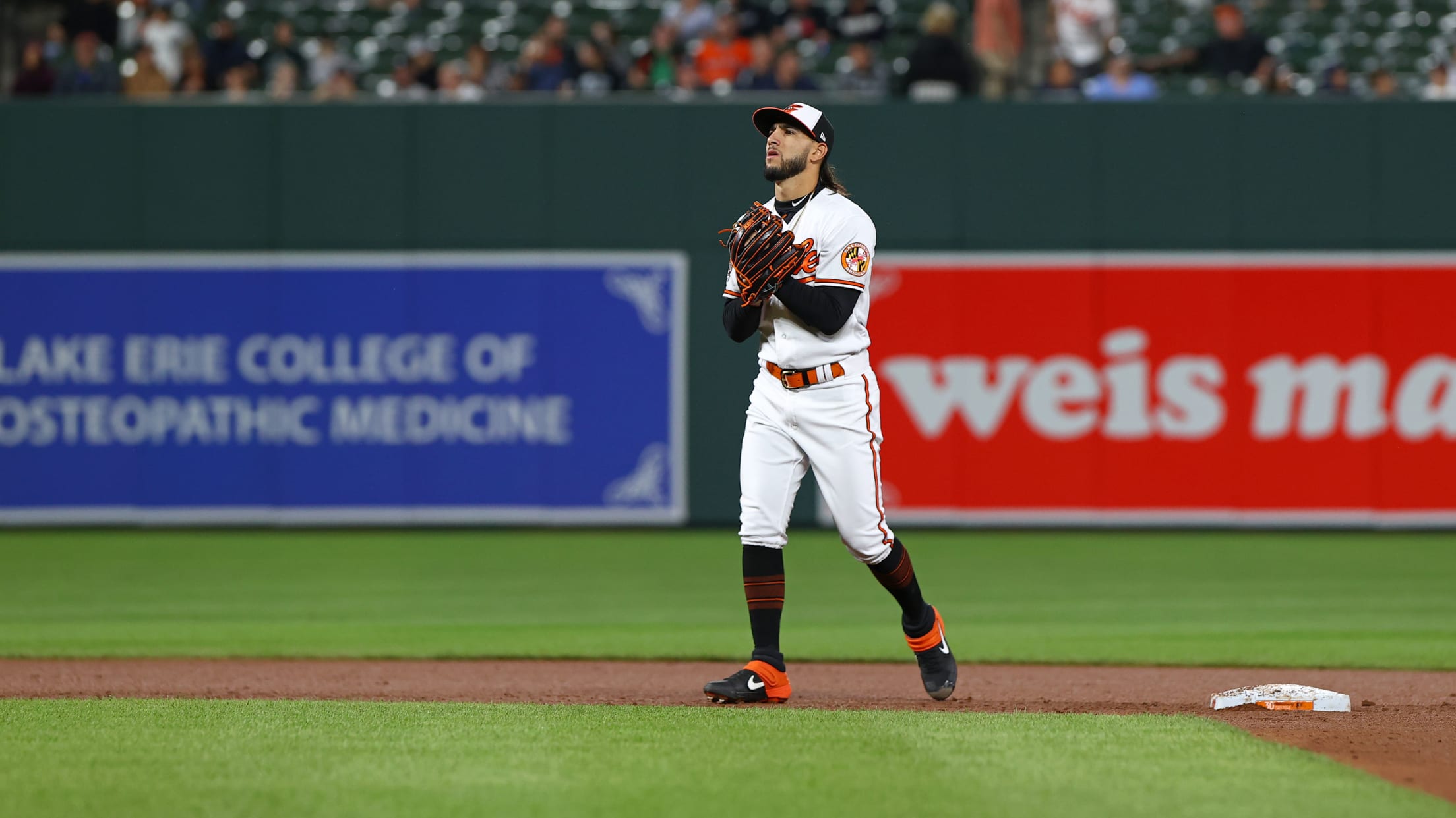 bal-rapid-questions-with-cionel-perez-004