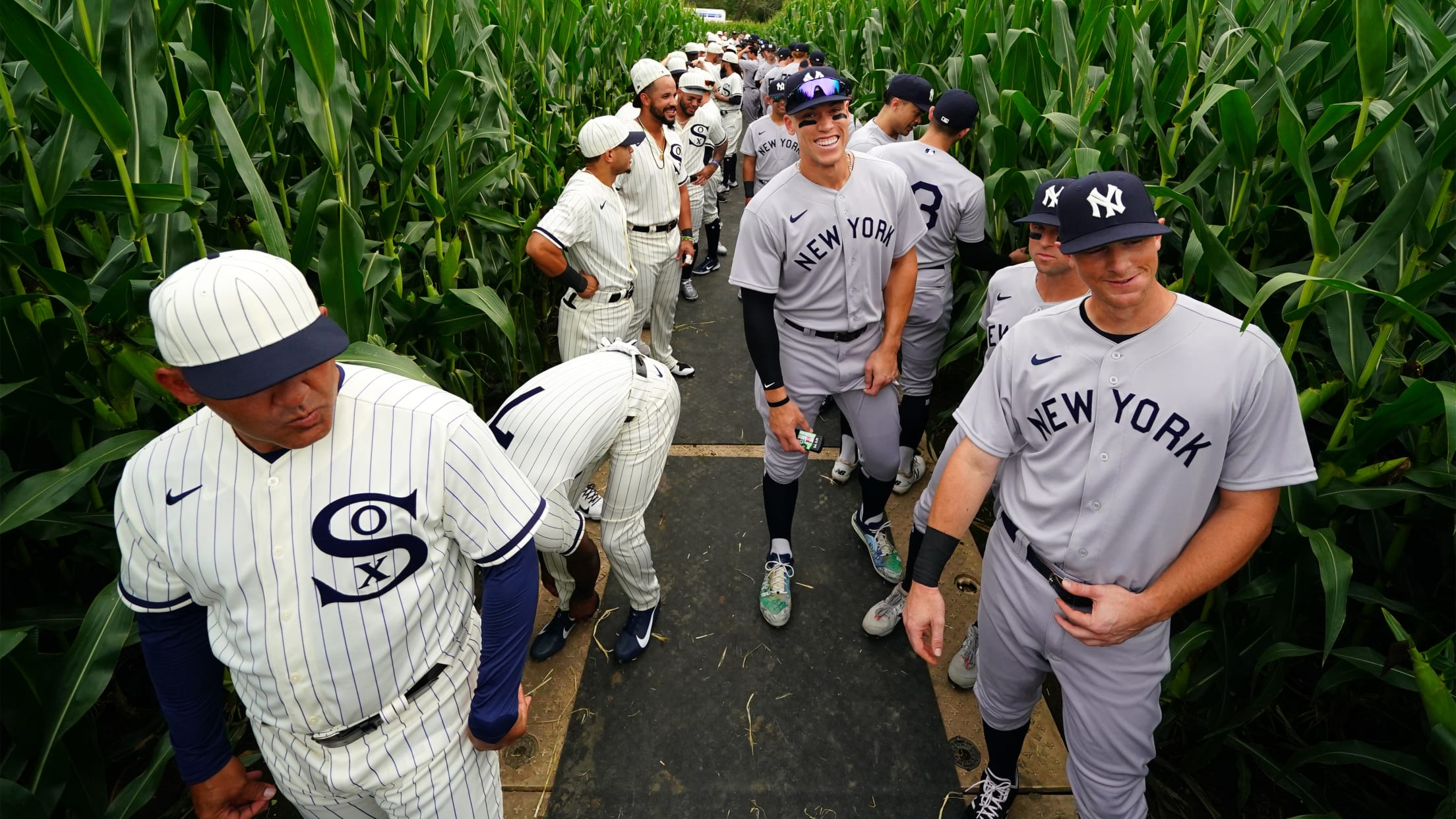 20210812DS_5490088-1