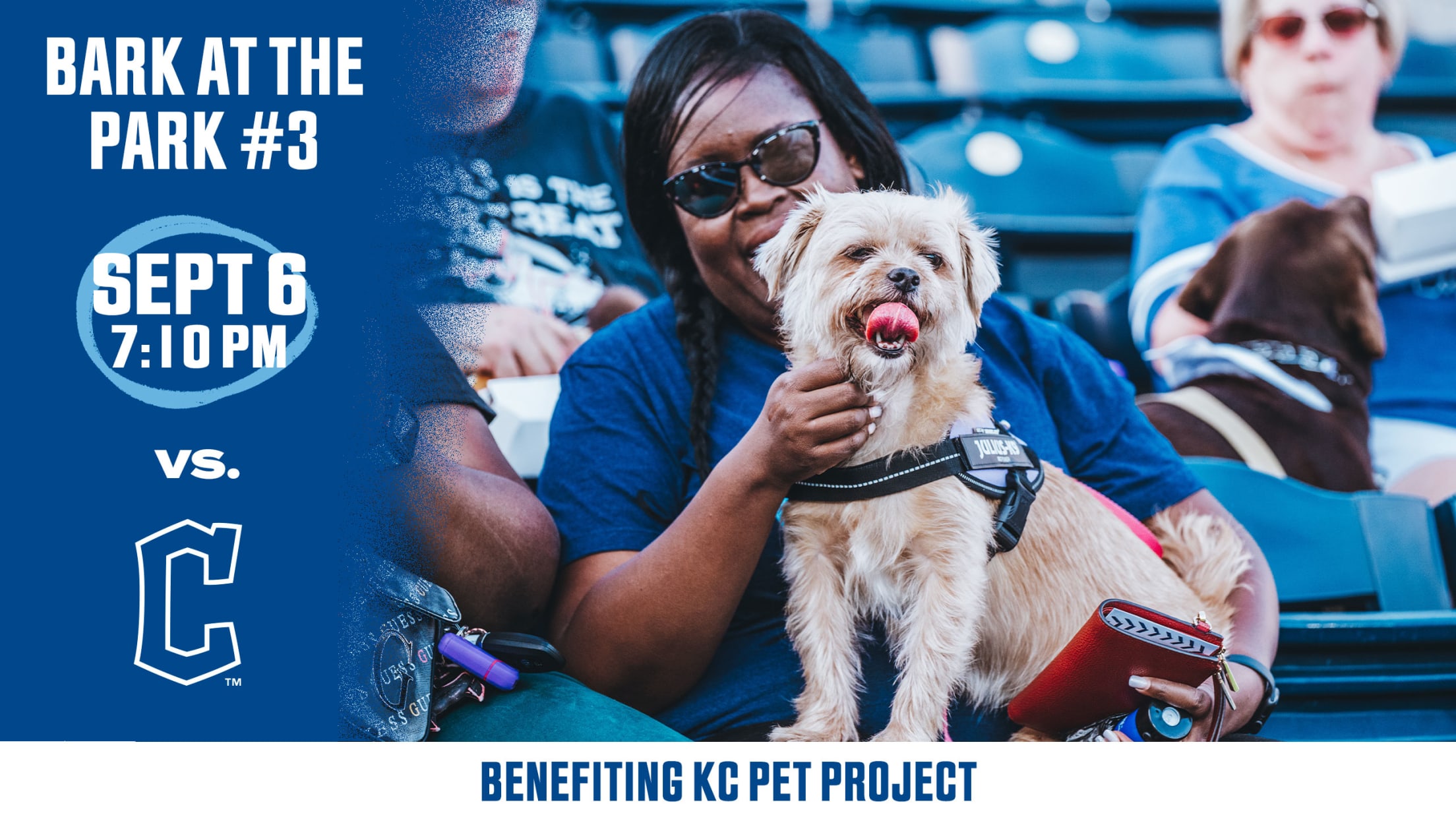 Bark at the Park Kansas City Royals