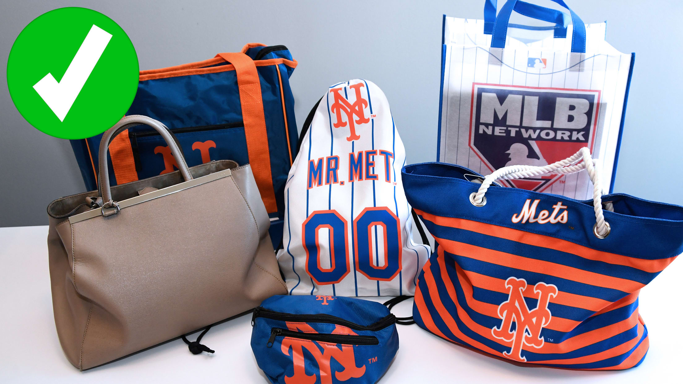 Citi Field Bag Policy