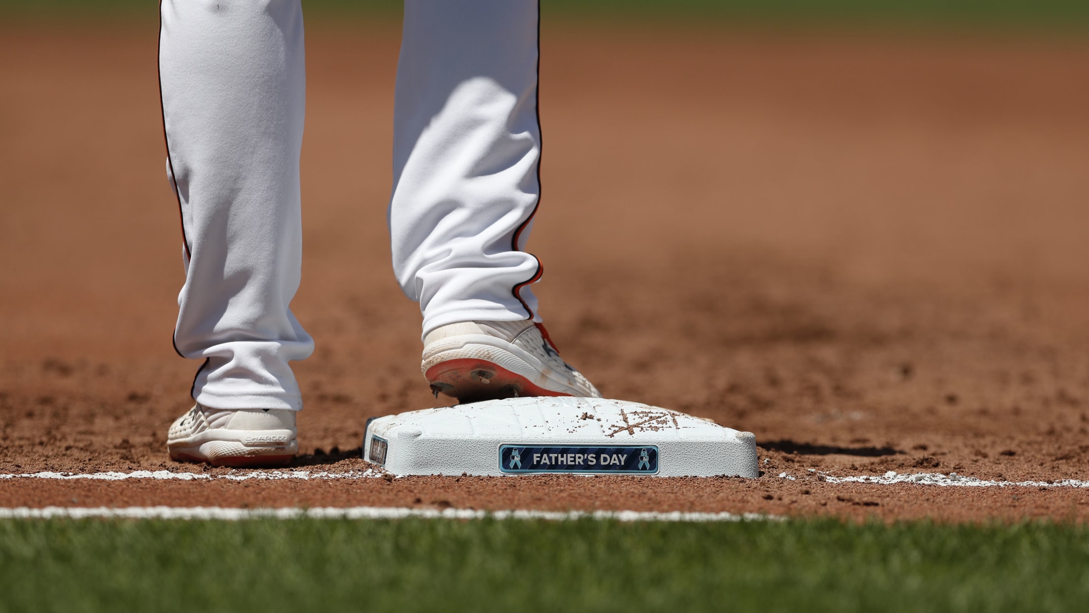 Homestand in Focus  617 - 622-025