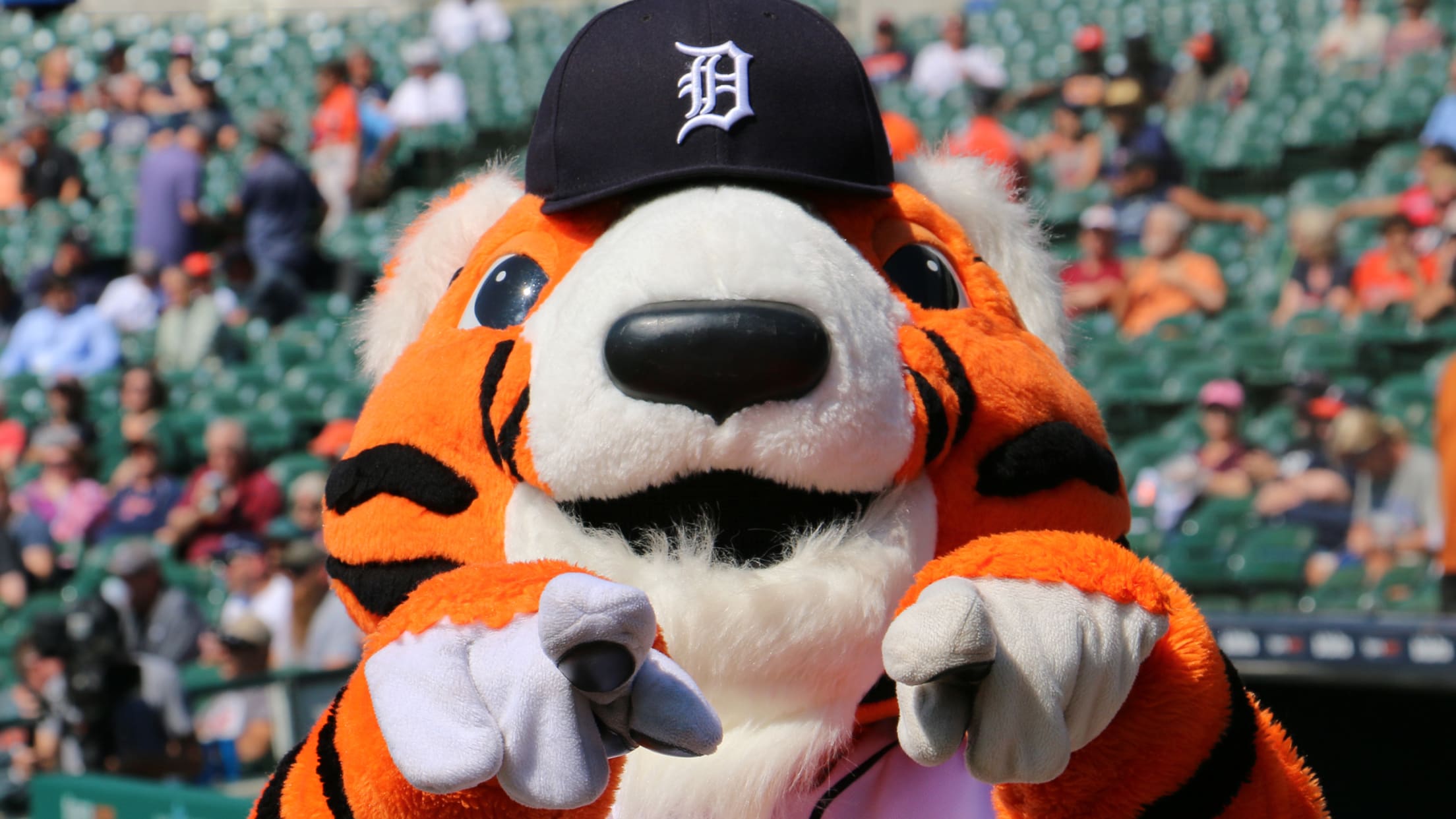 PAWS - The Official Mascot of the Detroit Tigers, tigers.com: Fan Forum