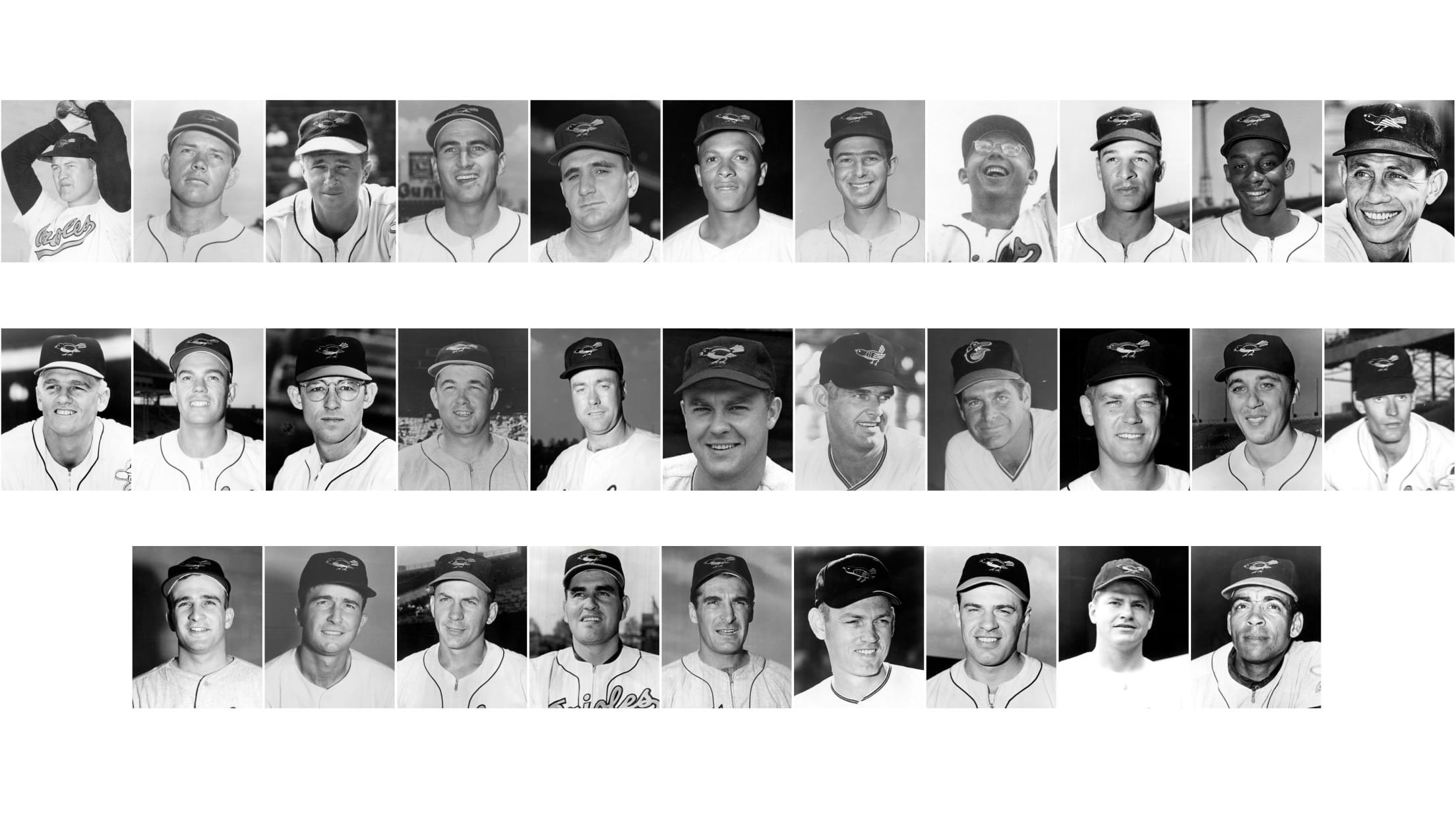 Veterans Day Special