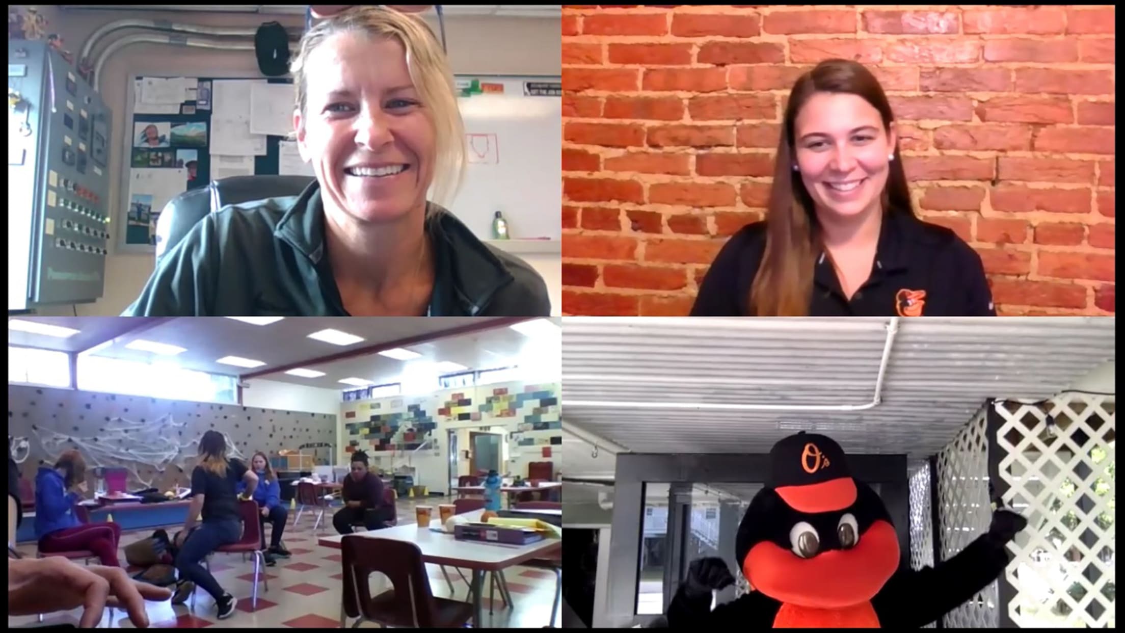 bal-the-bird-is-back-008